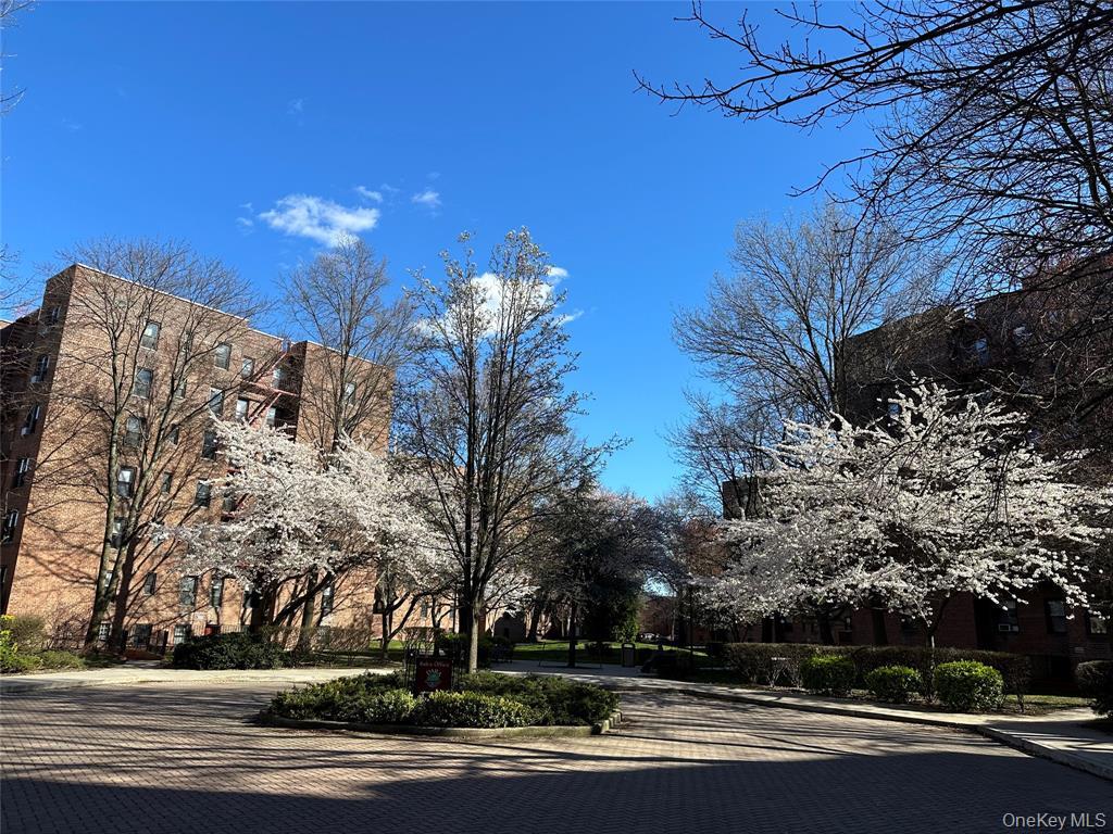 #8 photo, 15040 71st Avenue, クイーンズ区 Kew Garden Hills , NY 11367