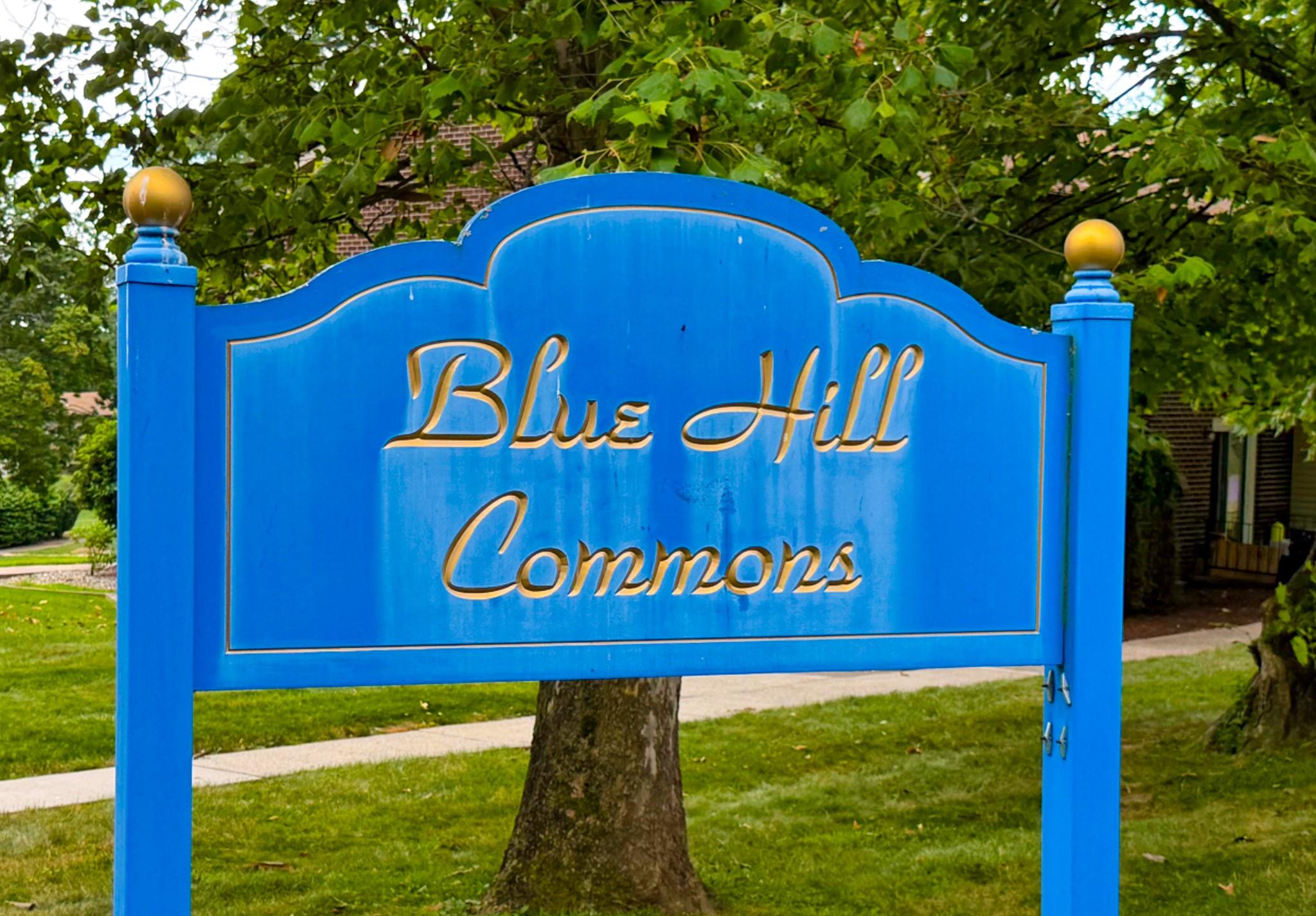 #1 photo, 15 Blue Hill Commons, 紐約州 Orangeburg , NY 10962