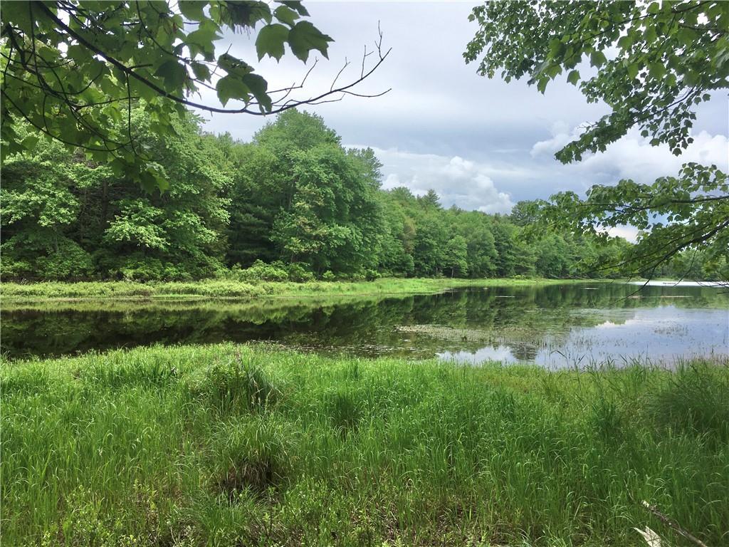 #1 photo, 10.7 & 10.9 Cty Hwy 141 Horseshoe Lake RD, 紐約州 Bethel , NY 12720