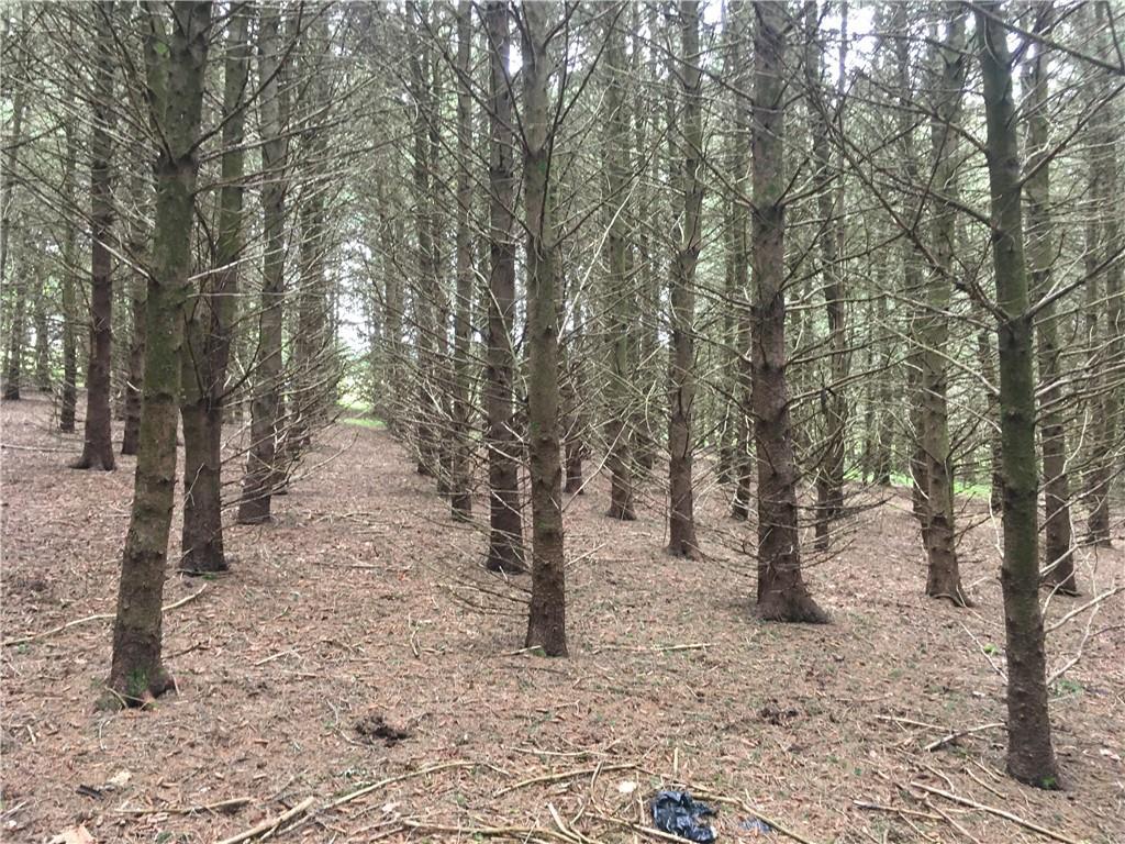 #14 photo, 10.7 & 10.9 Cty Hwy 141 Horseshoe Lake RD, Bethel , NY 12720