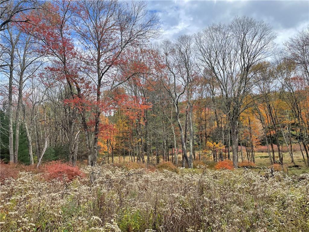 #15 photo, 10.7 & 10.9 Cty Hwy 141 Horseshoe Lake RD, Bethel , NY 12720