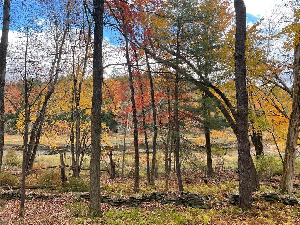 #18 photo, 10.7 & 10.9 Cty Hwy 141 Horseshoe Lake RD, Bethel , NY 12720