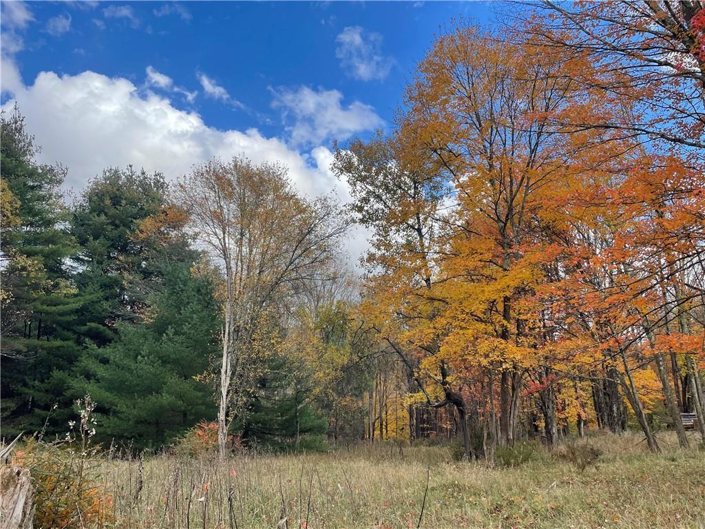 #19 photo, 10.7 & 10.9 Cty Hwy 141 Horseshoe Lake RD, Bethel , NY 12720