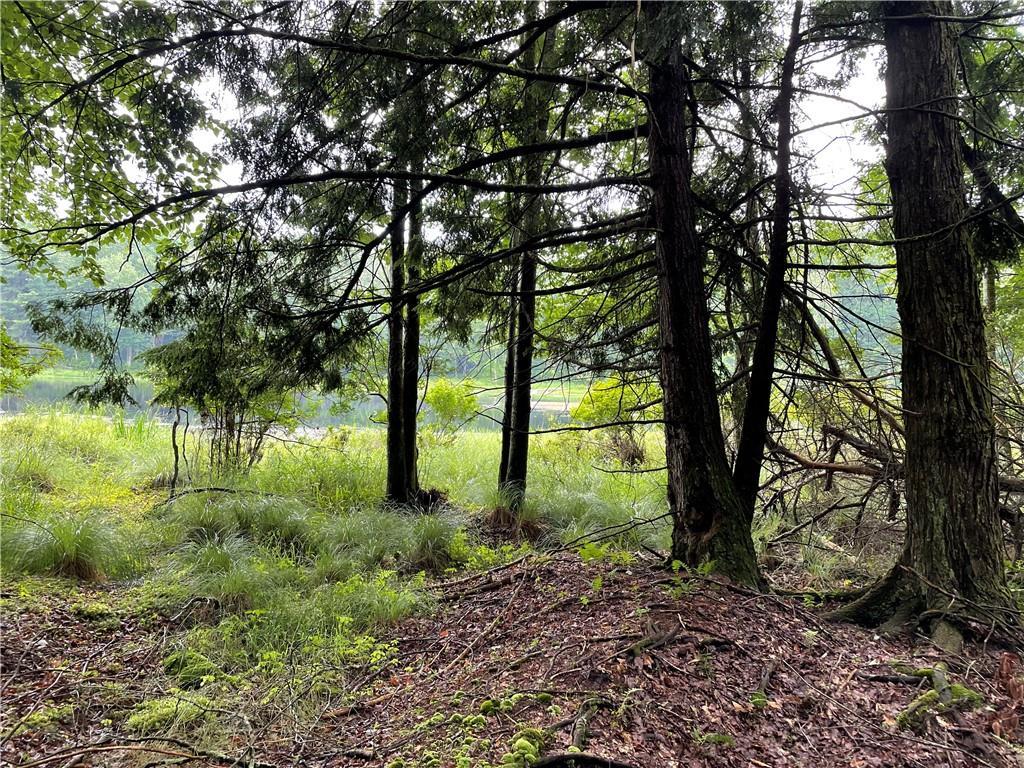 #2 photo, 10.7 & 10.9 Cty Hwy 141 Horseshoe Lake RD, Bethel , NY 12720