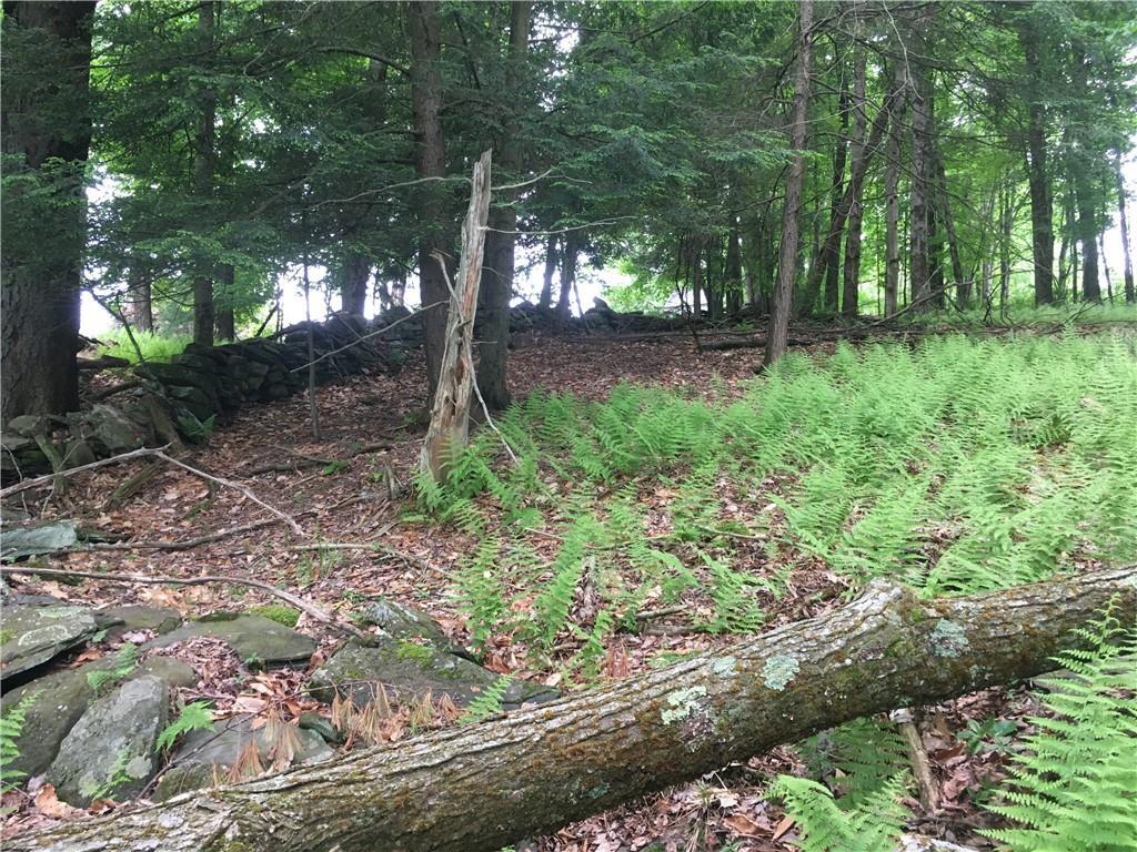 #4 photo, 10.7 & 10.9 Cty Hwy 141 Horseshoe Lake RD, Bethel , NY 12720