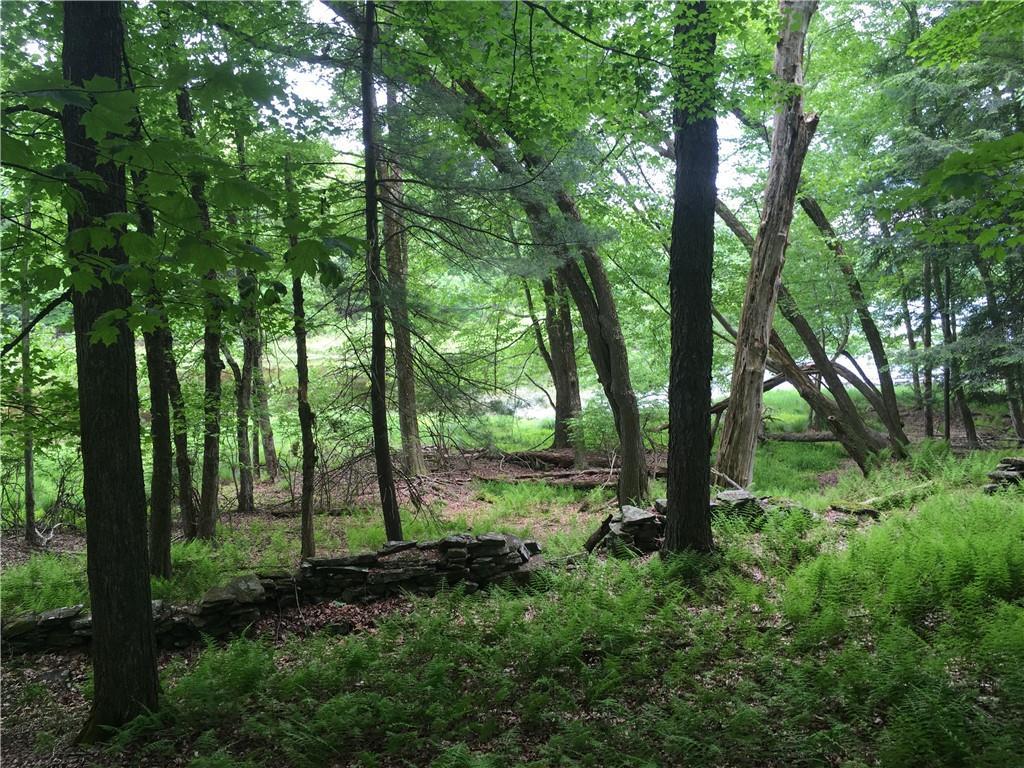 #5 photo, 10.7 & 10.9 Cty Hwy 141 Horseshoe Lake RD, Bethel , NY 12720