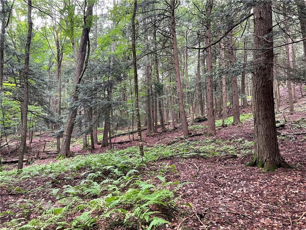 #8 photo, 10.7 & 10.9 Cty Hwy 141 Horseshoe Lake RD, Bethel , NY 12720