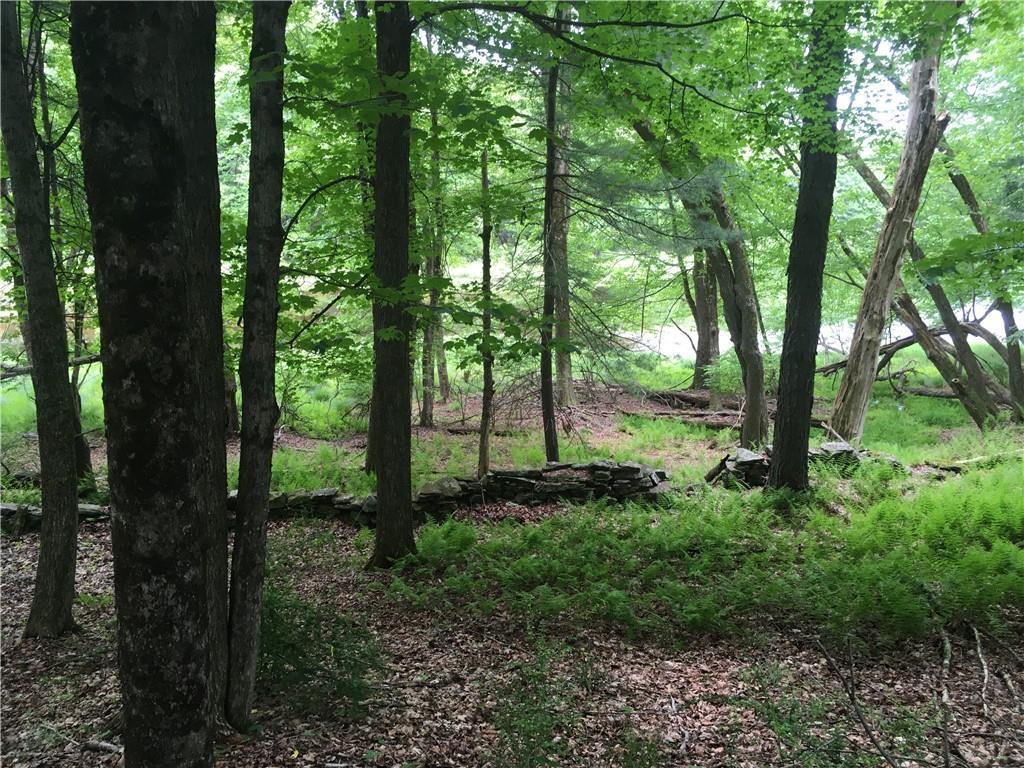 #9 photo, 10.7 & 10.9 Cty Hwy 141 Horseshoe Lake RD, Bethel , NY 12720