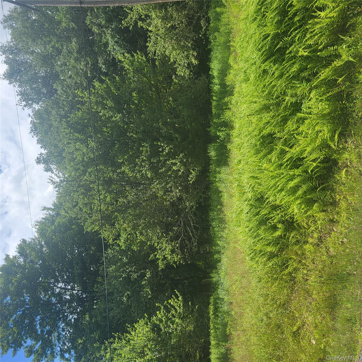 #1 photo, ** Creamery Road, Mongaup Valley , NY 12720