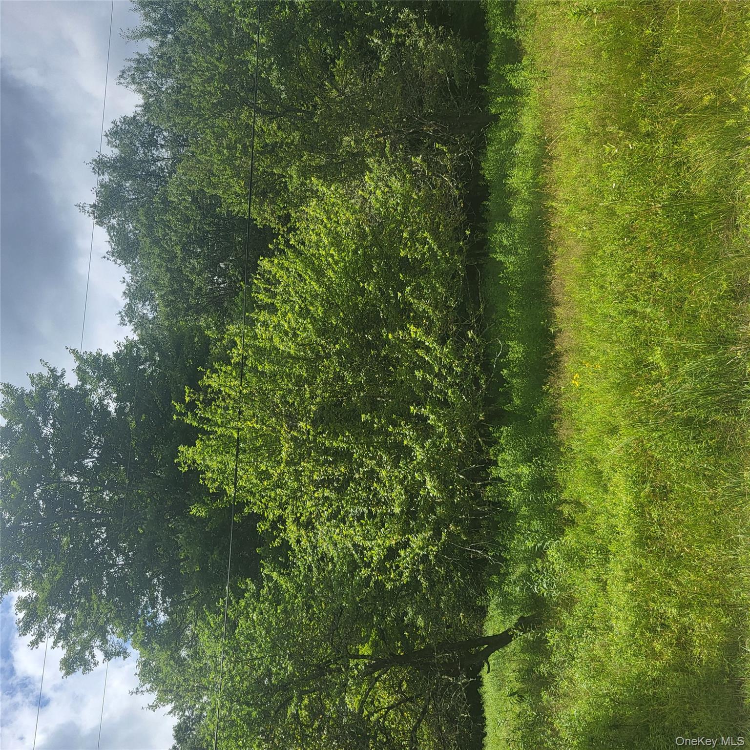 #2 photo, ** Creamery Road, Mongaup Valley , NY 12720