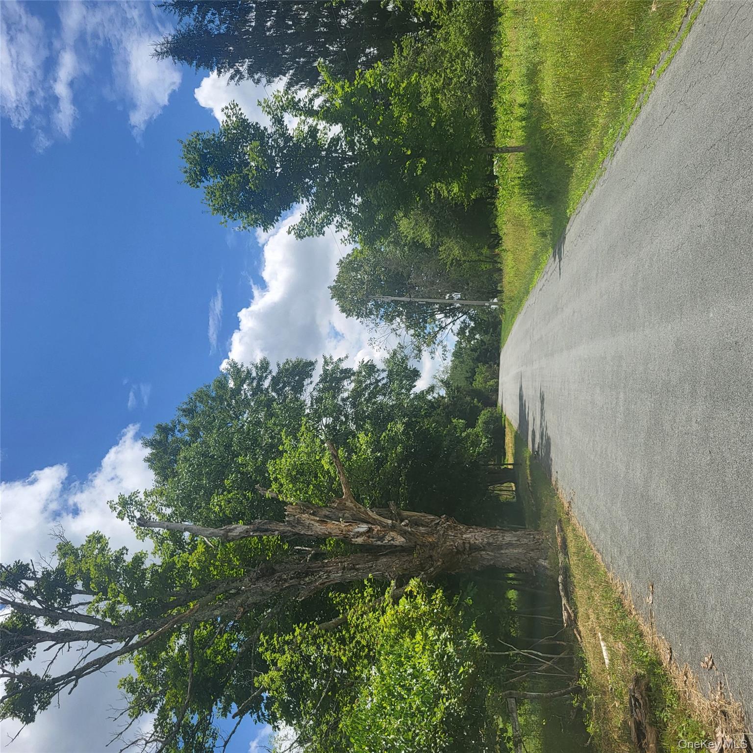 #5 photo, ** Creamery Road, Mongaup Valley , NY 12720