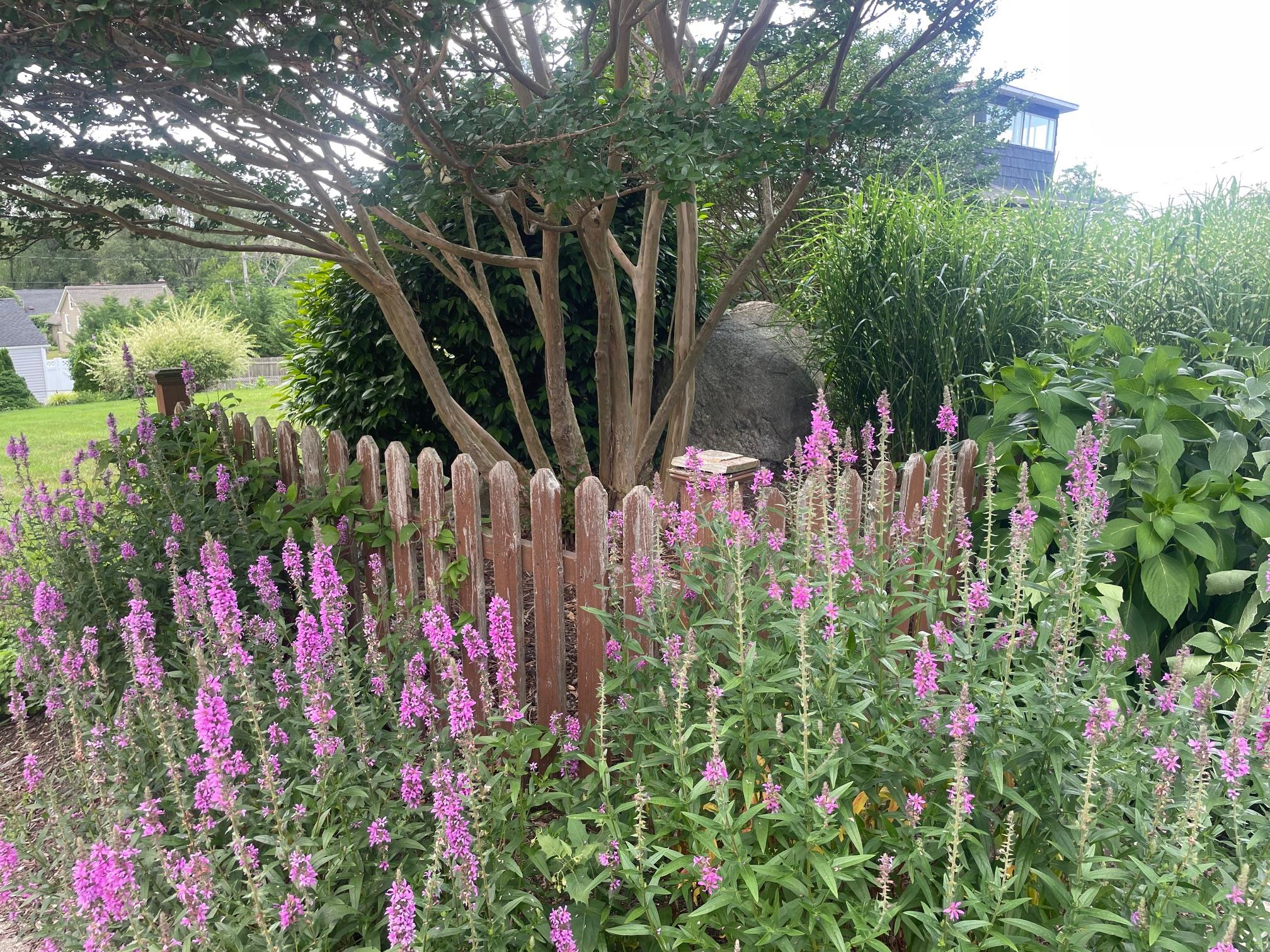 #1 photo, Beaver Drive, 東長島 Kings Park , NY 11754