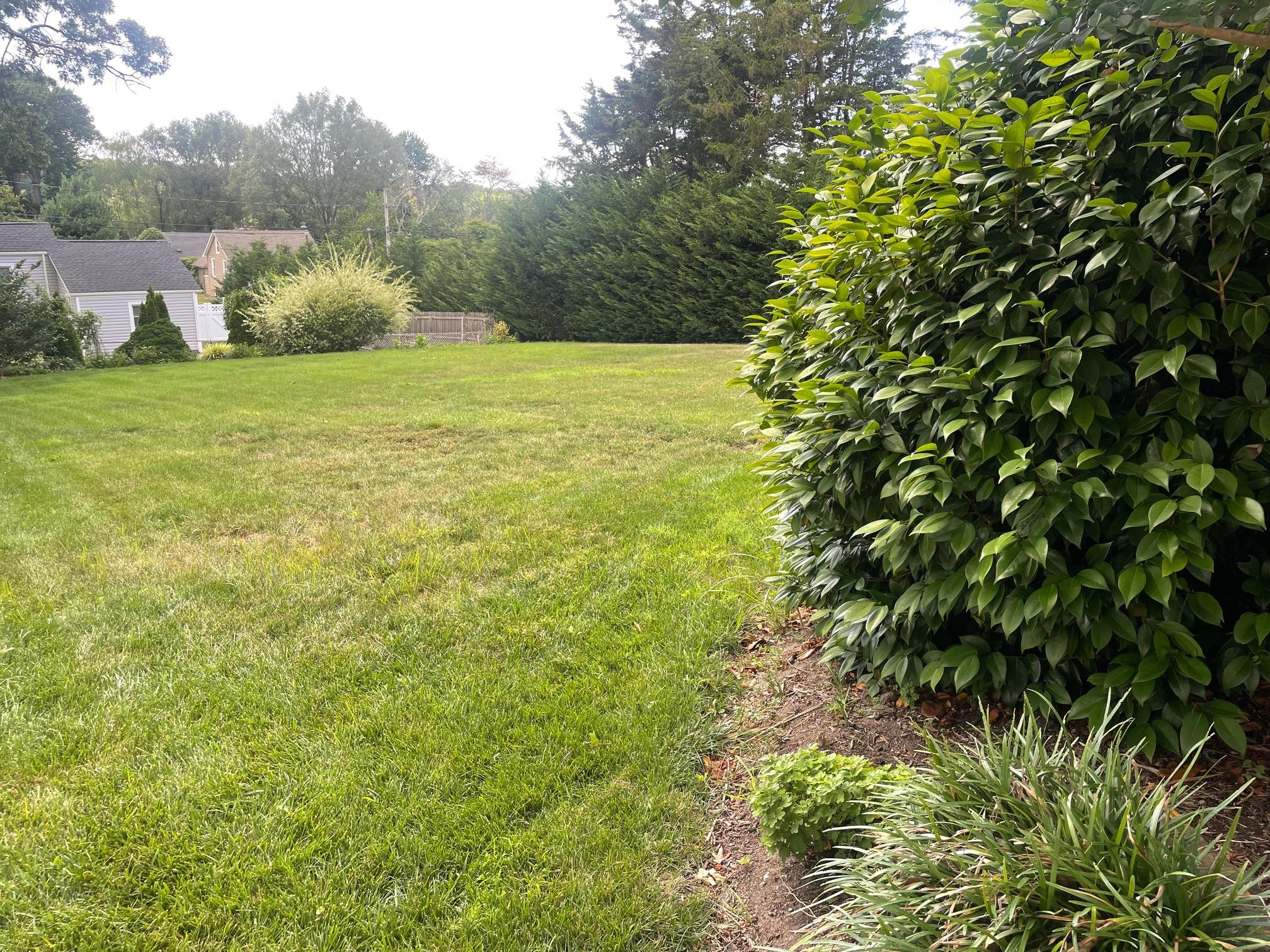 #5 photo, Beaver Drive, サフォーク郡 Kings Park , NY 11754