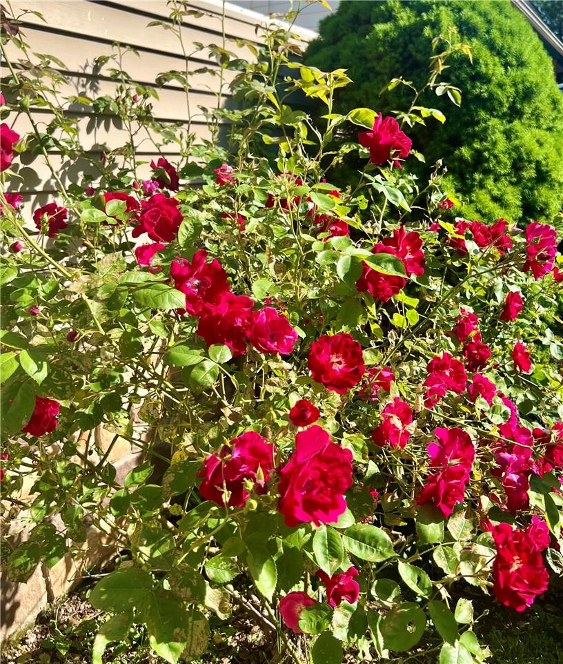 #17 photo, 8 Park Avenue, Hillburn , NY 10931