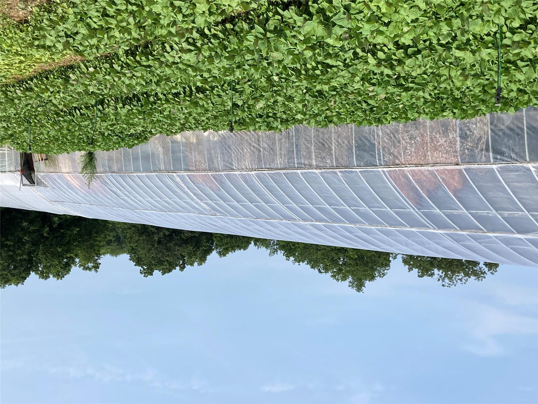 #1 photo, 2660 State Route 208, Montgomery , NY 12586