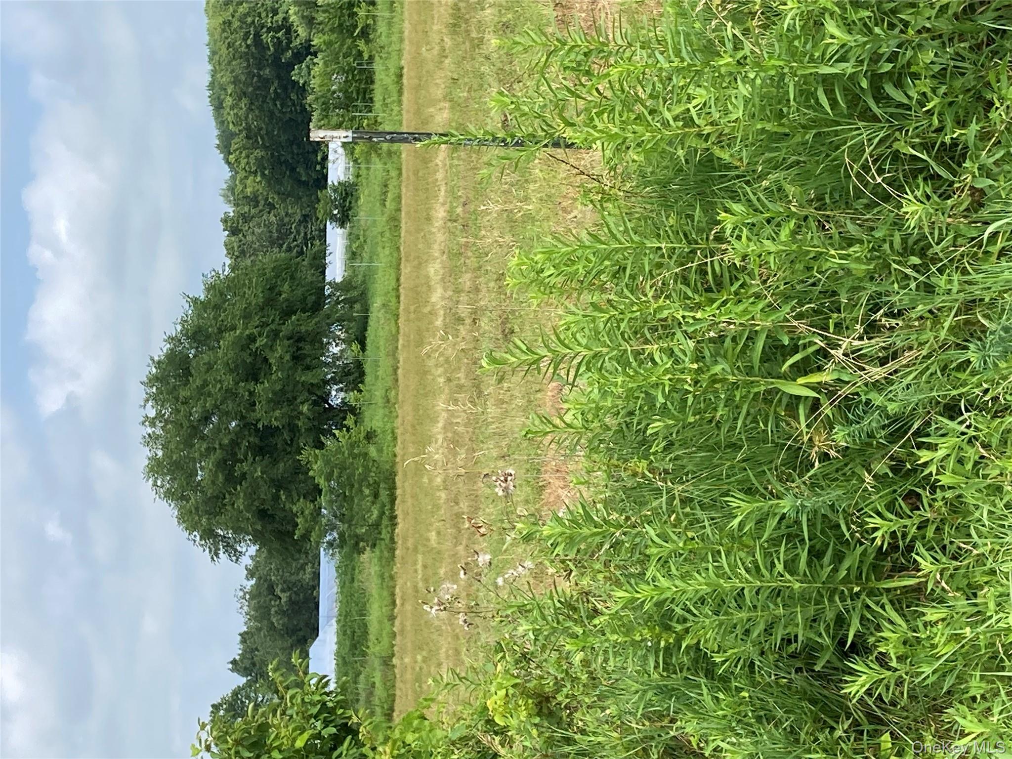 #10 photo, 2660 State Route 208, Montgomery , NY 12586