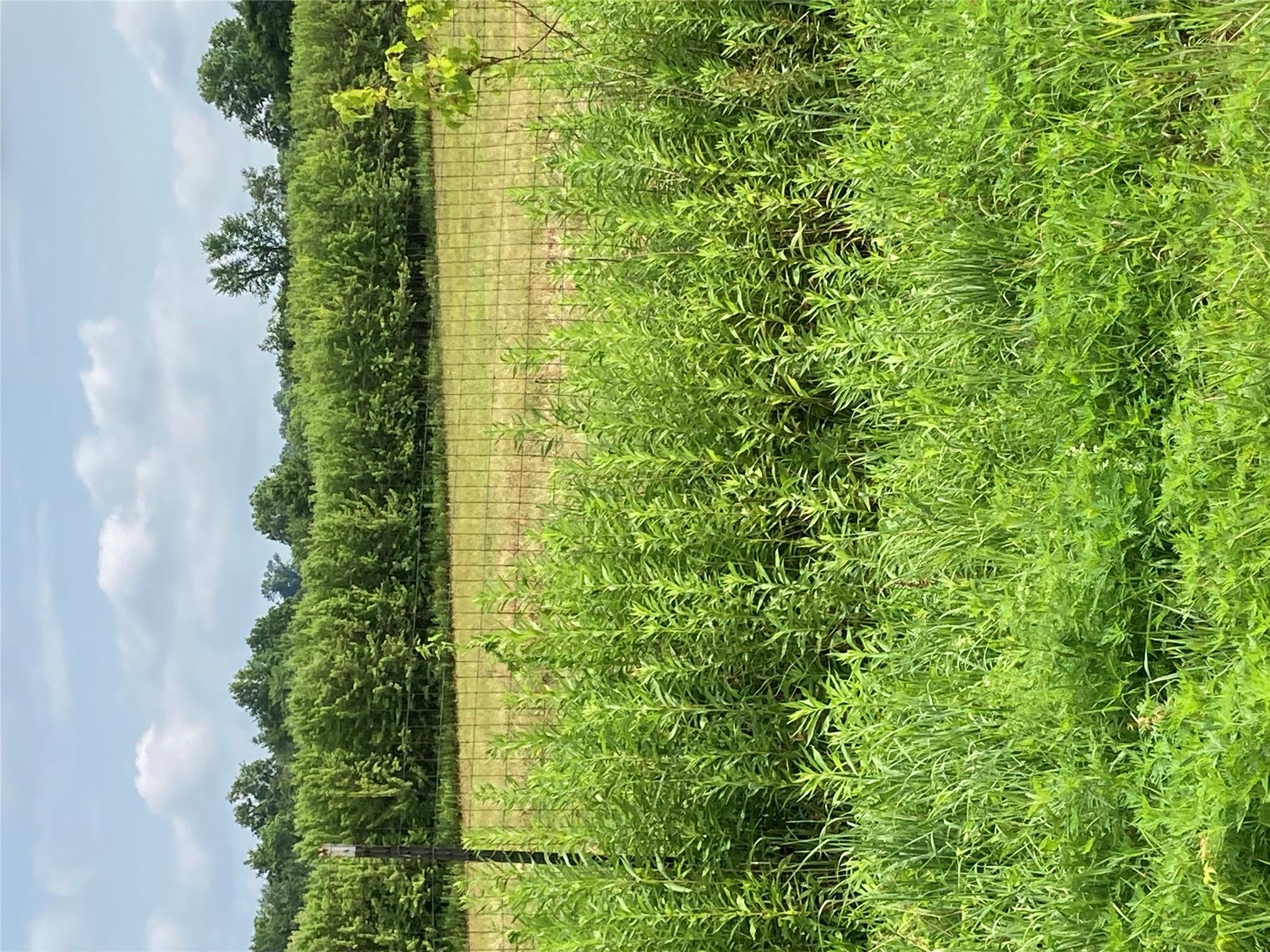 #11 photo, 2660 State Route 208, Montgomery , NY 12586