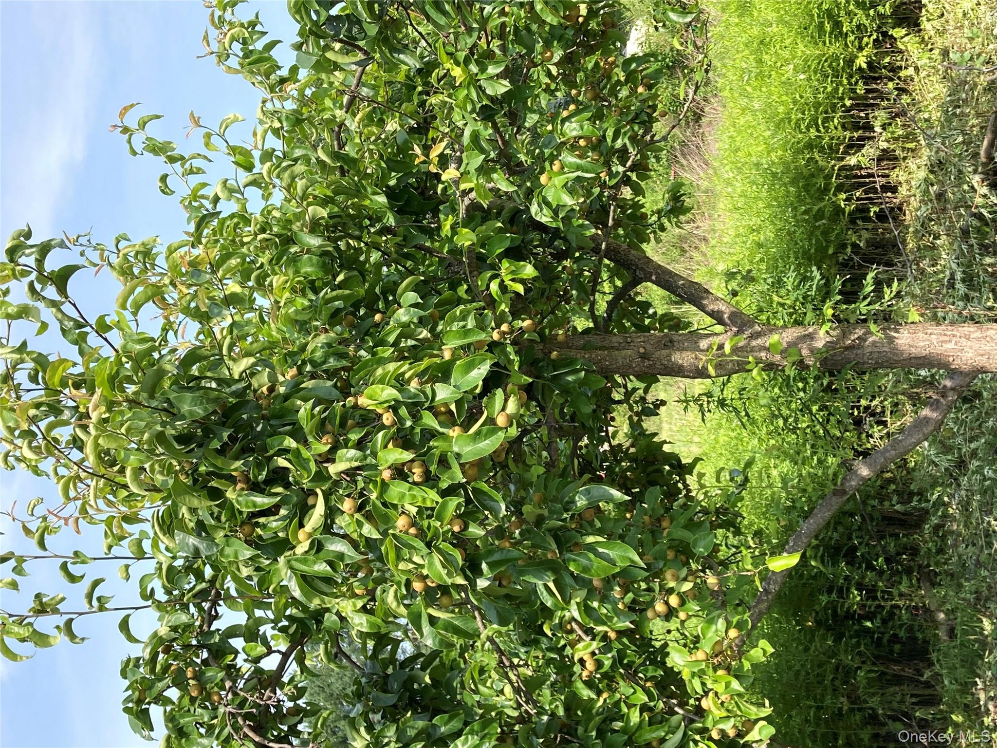 #2 photo, 2660 State Route 208, Montgomery , NY 12586