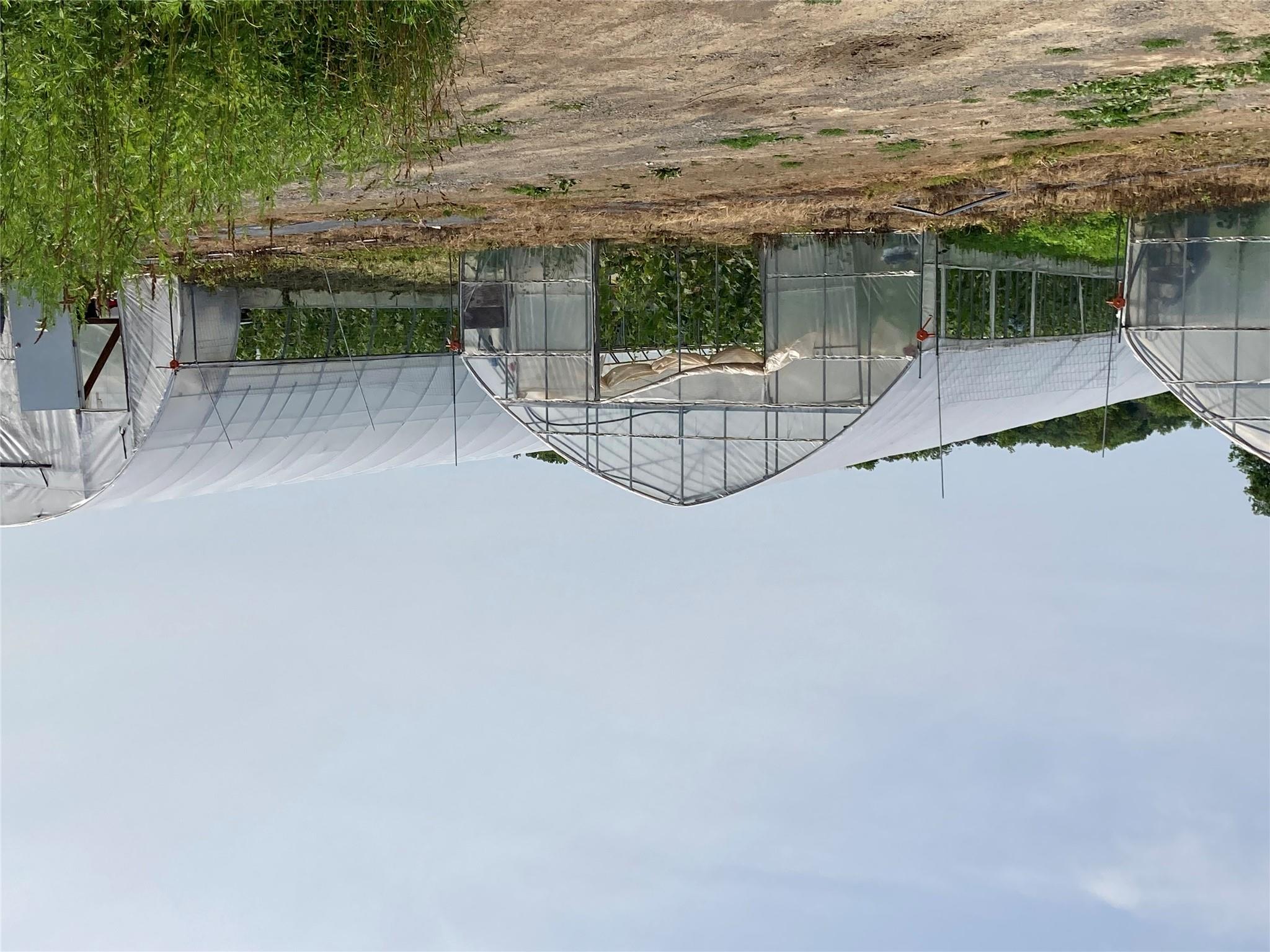 #3 photo, 2660 State Route 208, Montgomery , NY 12586