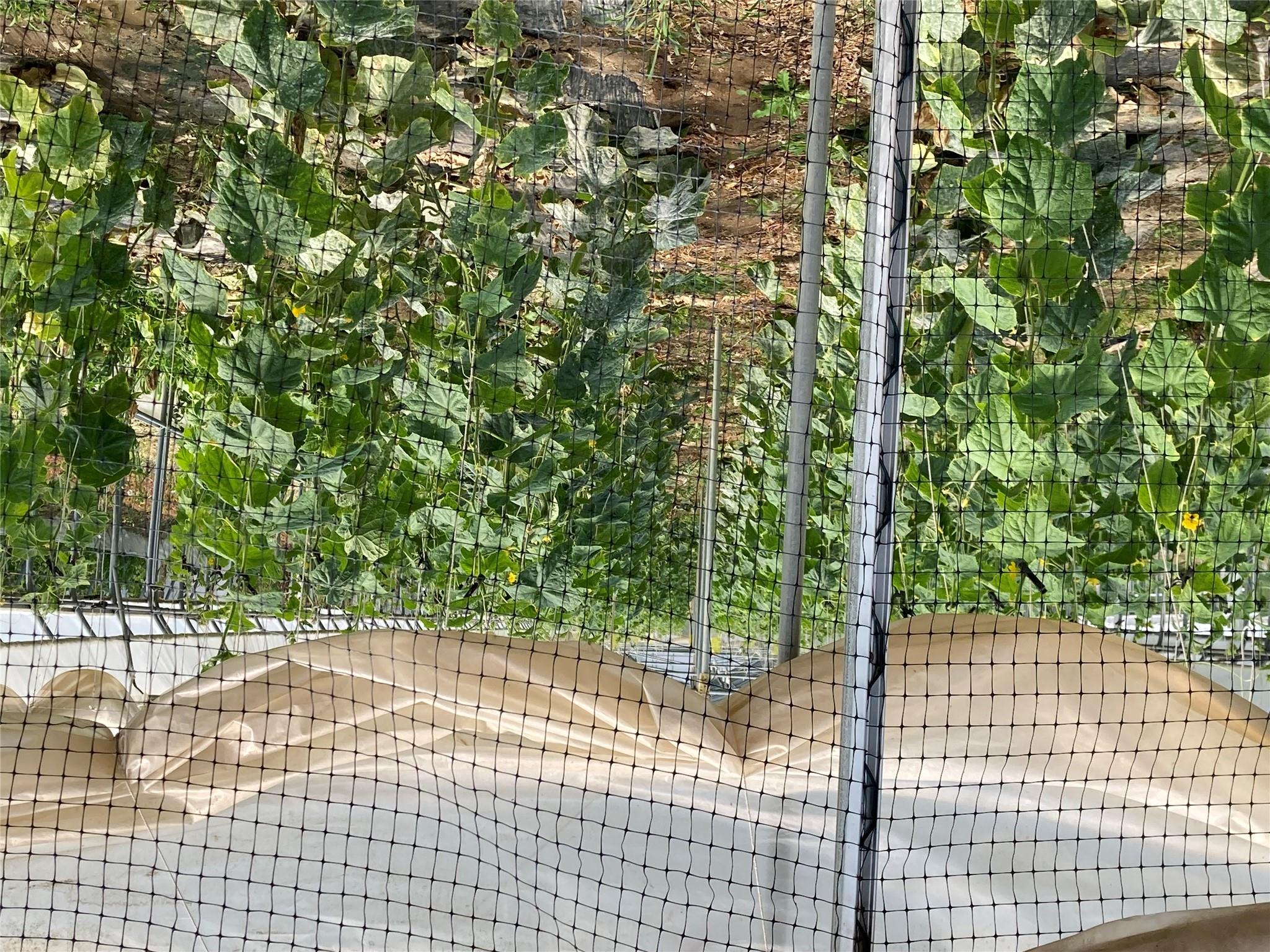 #5 photo, 2660 State Route 208, Montgomery , NY 12586