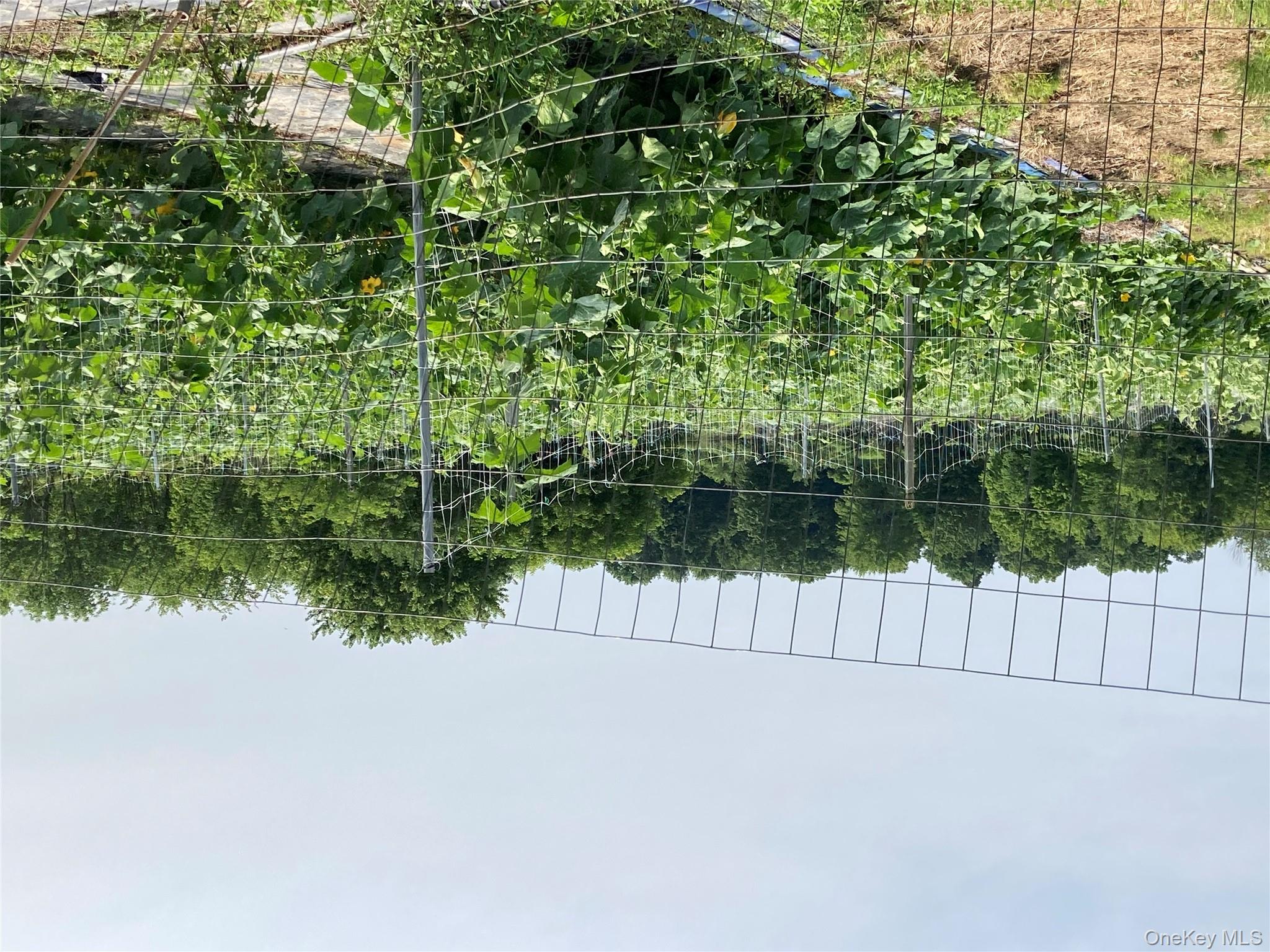 #7 photo, 2660 State Route 208, Montgomery , NY 12586