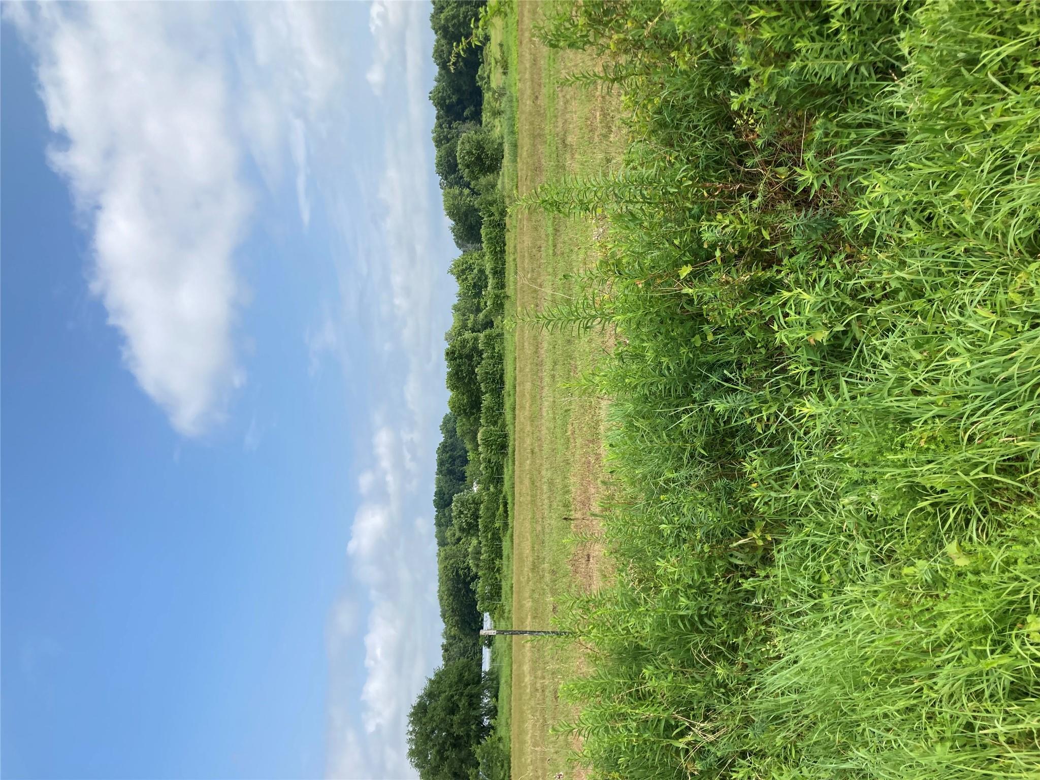 #9 photo, 2660 State Route 208, Montgomery , NY 12586