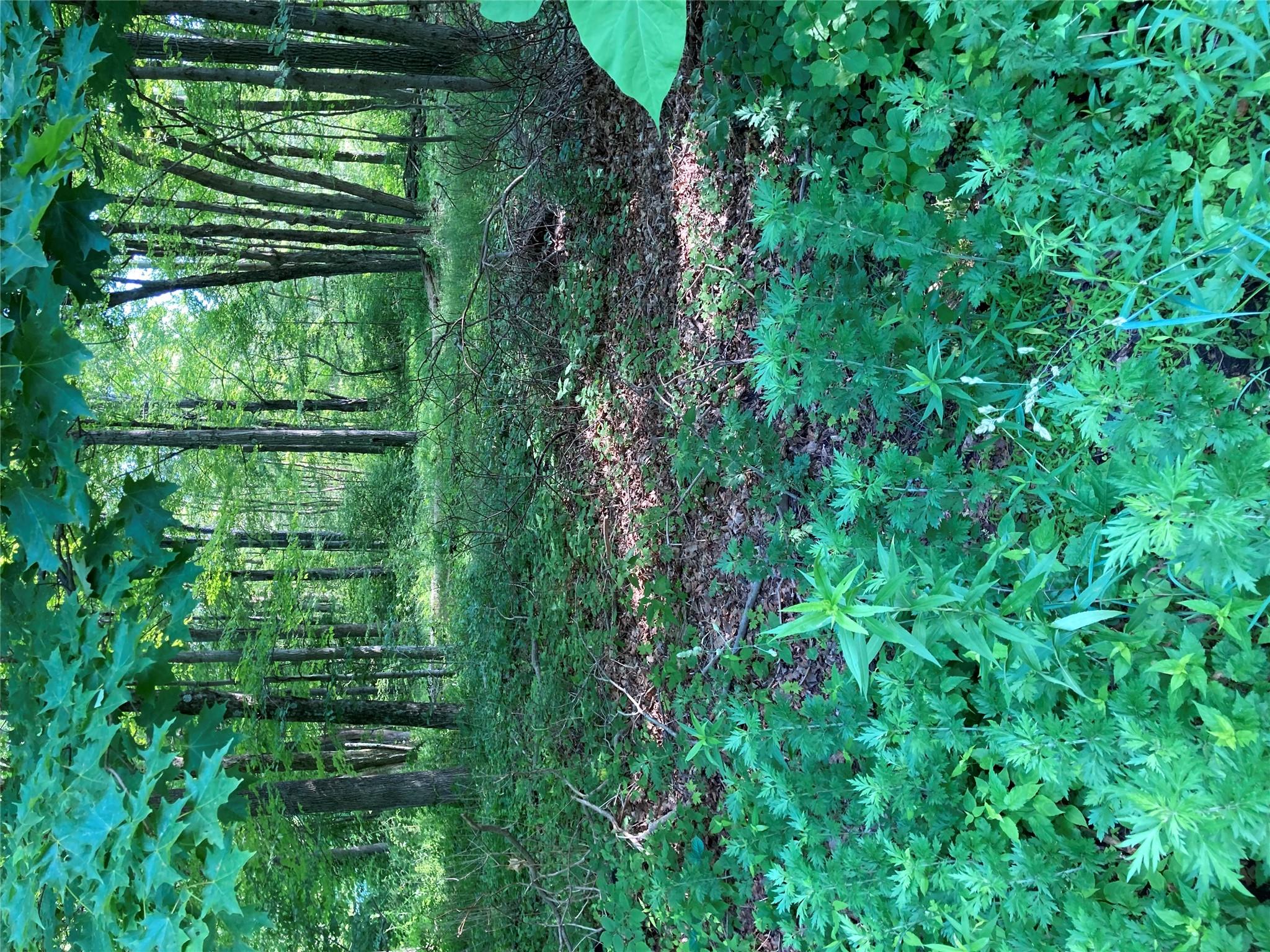 #1 photo, 15a Adam Wagner Lane, Mahopac , NY 10541