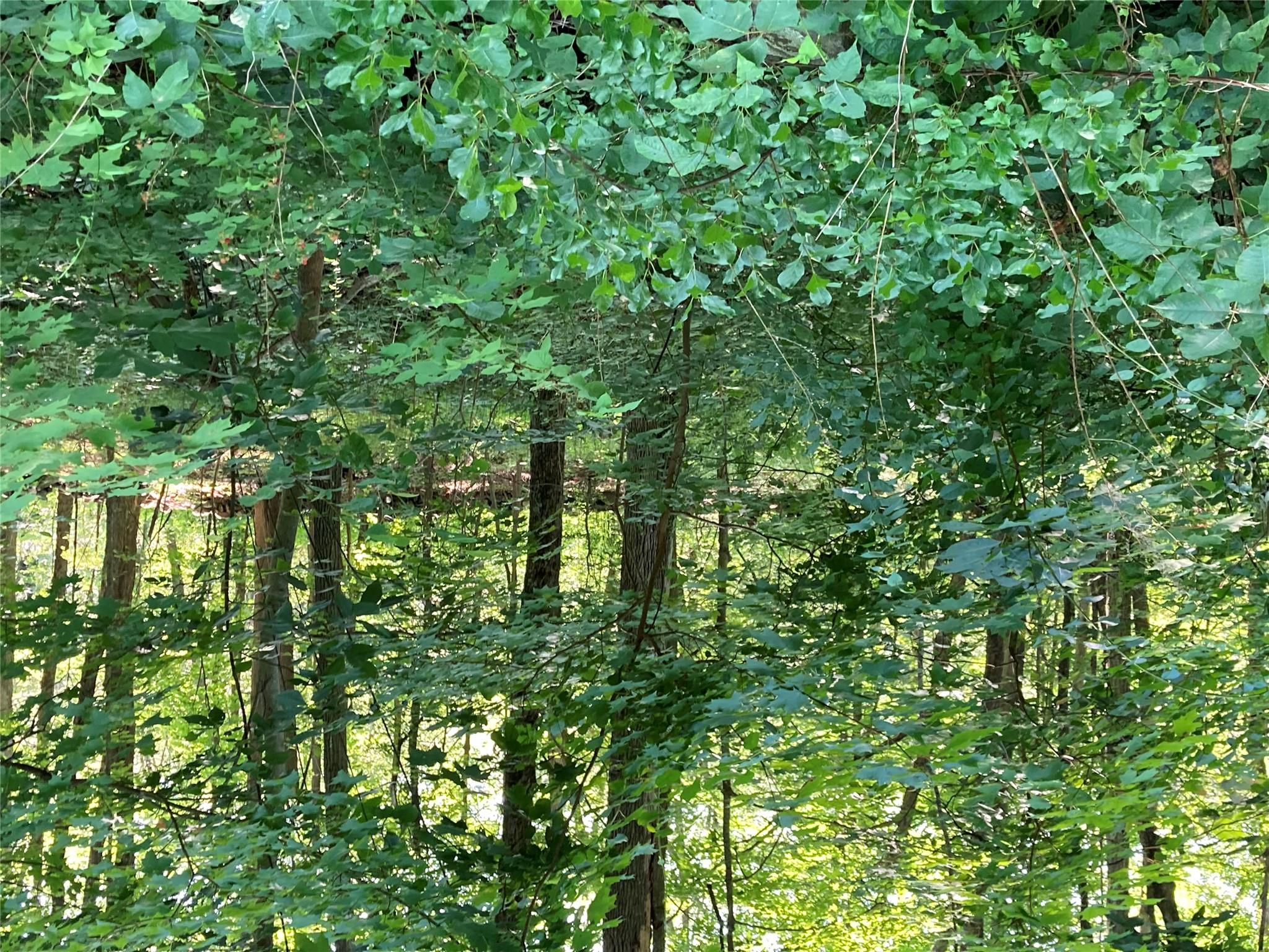 #11 photo, 15a Adam Wagner Lane, Mahopac , NY 10541