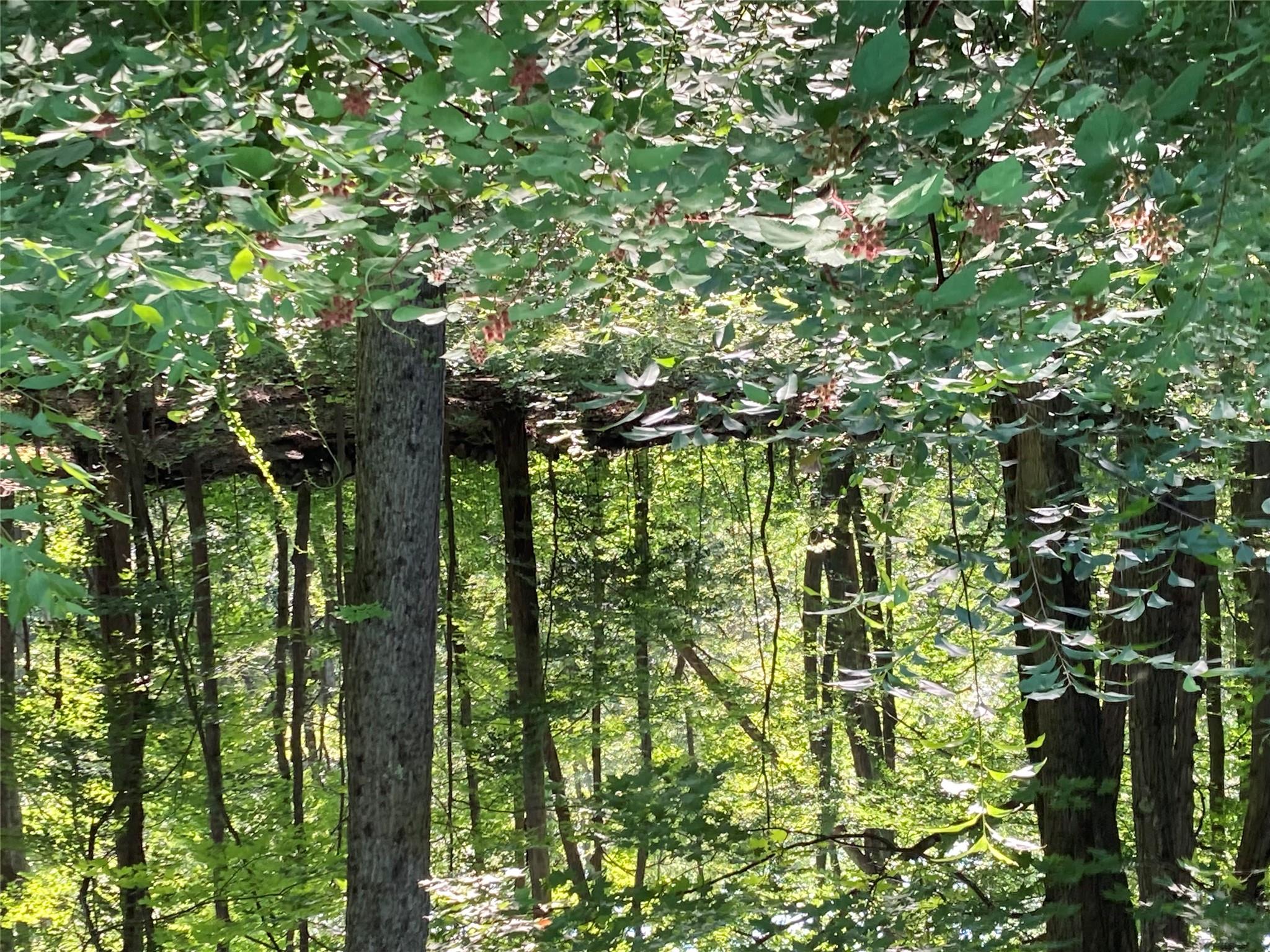 #12 photo, 15a Adam Wagner Lane, Mahopac , NY 10541