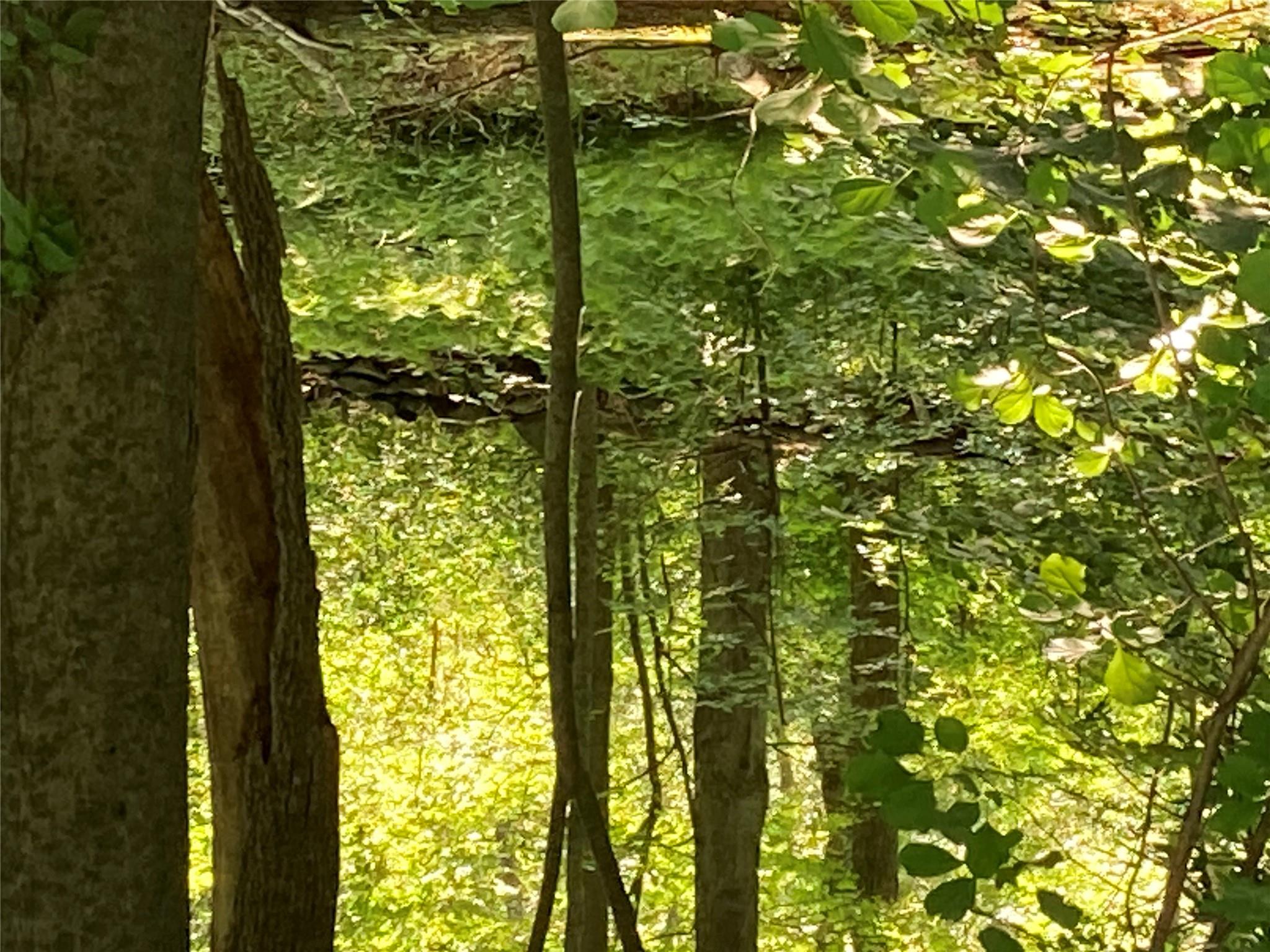 #13 photo, 15a Adam Wagner Lane, Mahopac , NY 10541