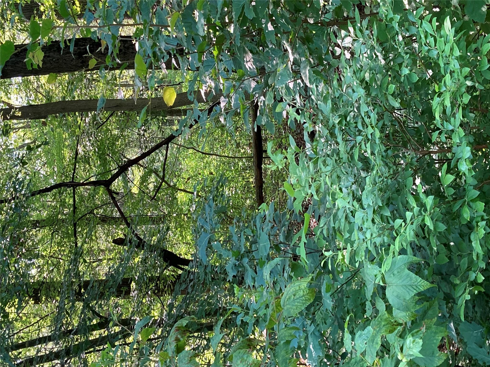 #14 photo, 15a Adam Wagner Lane, Mahopac , NY 10541