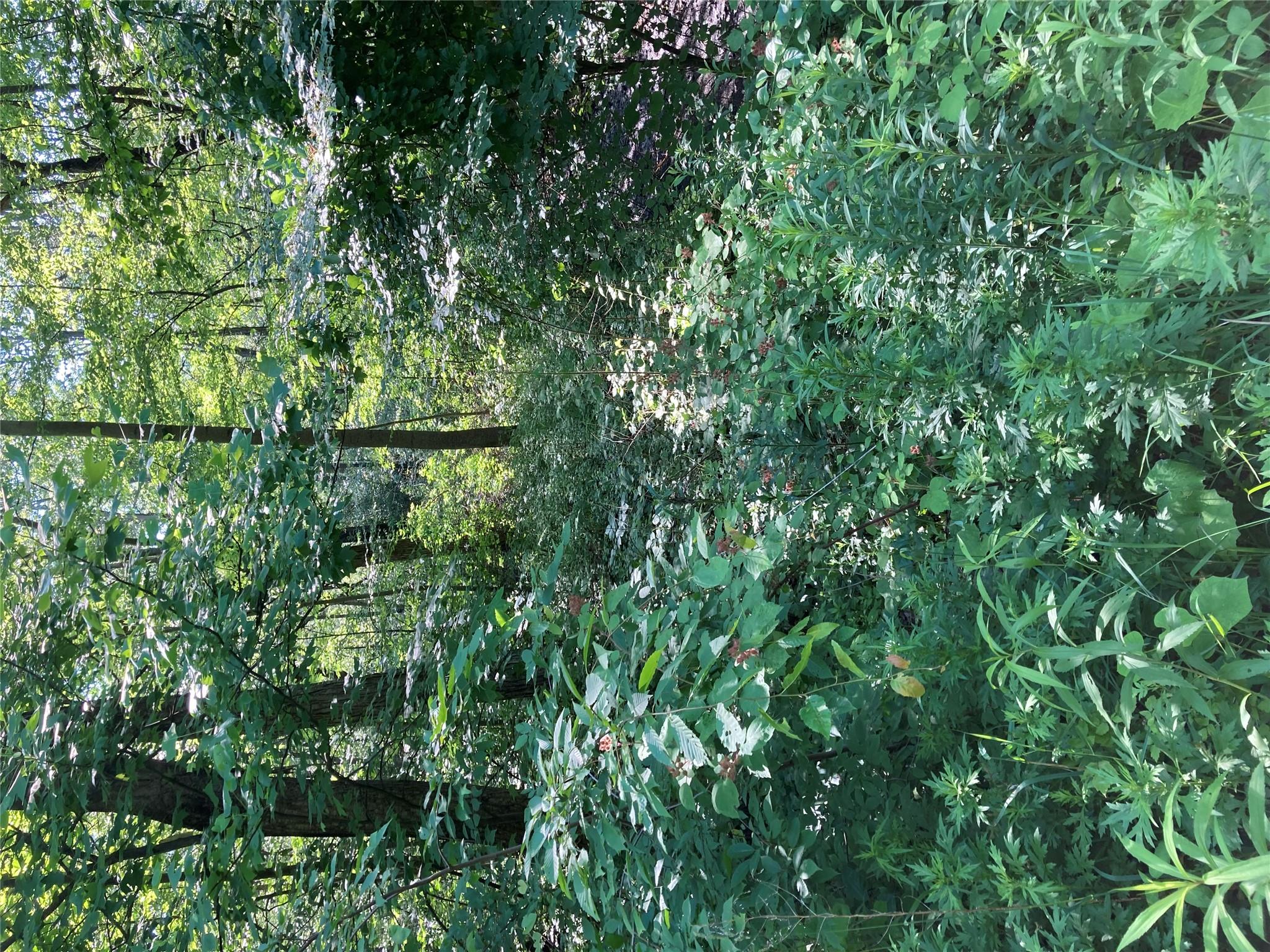 #15 photo, 15a Adam Wagner Lane, Mahopac , NY 10541