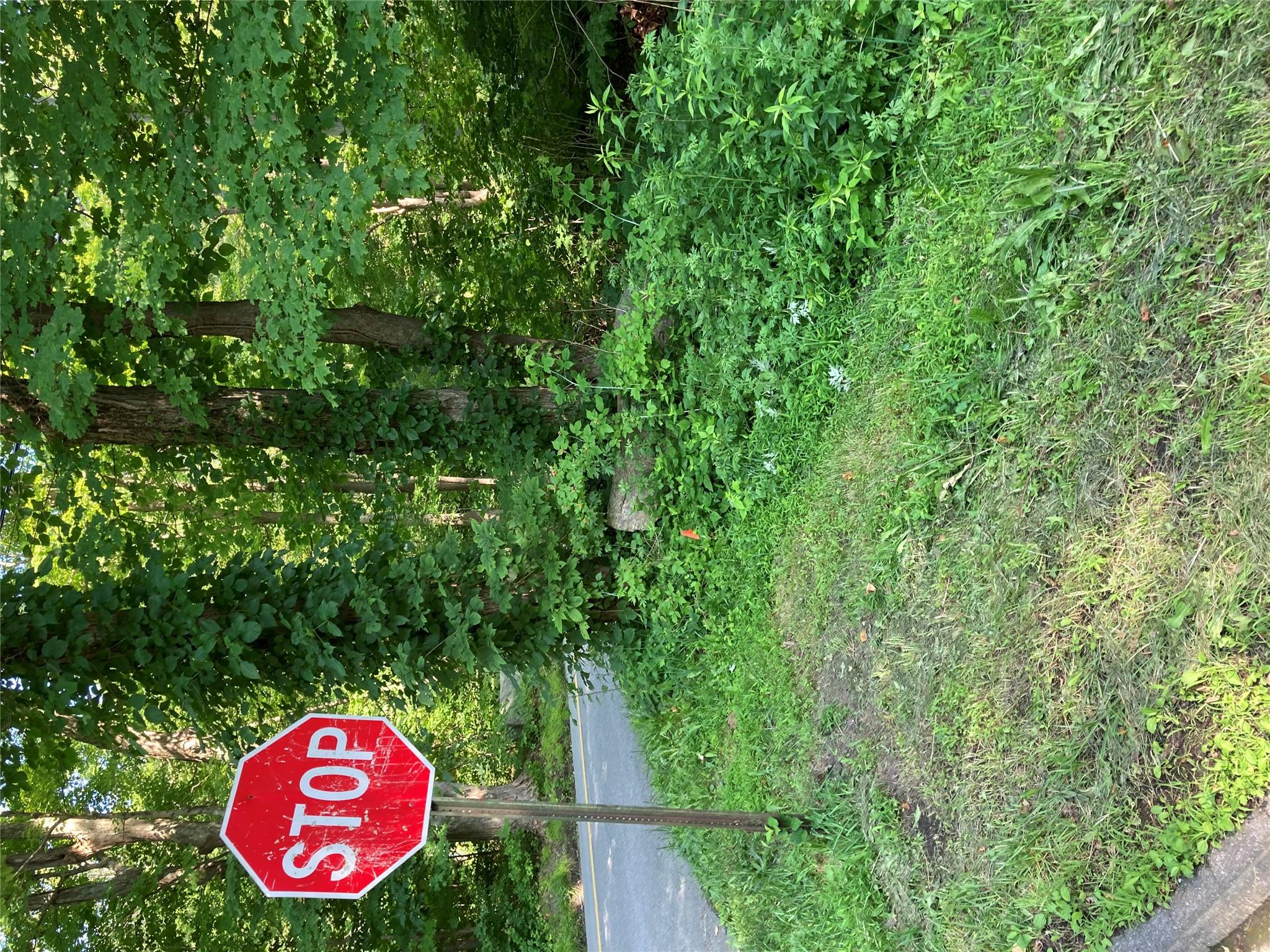 #16 photo, 15a Adam Wagner Lane, Mahopac , NY 10541