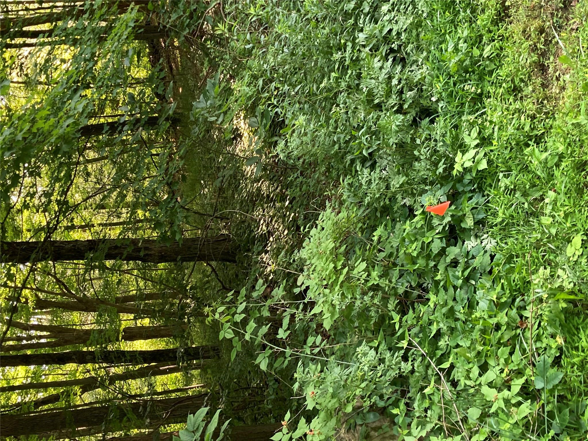 #17 photo, 15a Adam Wagner Lane, Mahopac , NY 10541