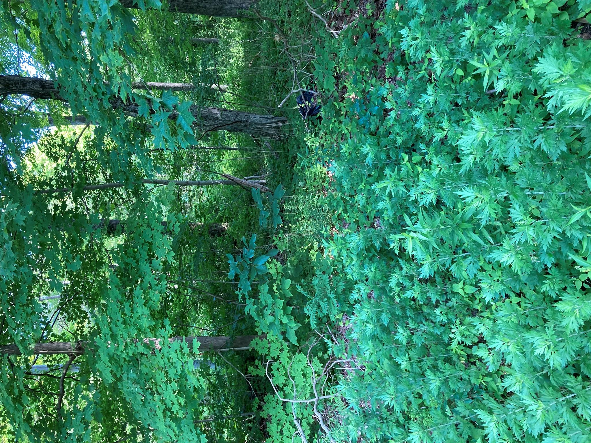 #2 photo, 15a Adam Wagner Lane, Mahopac , NY 10541