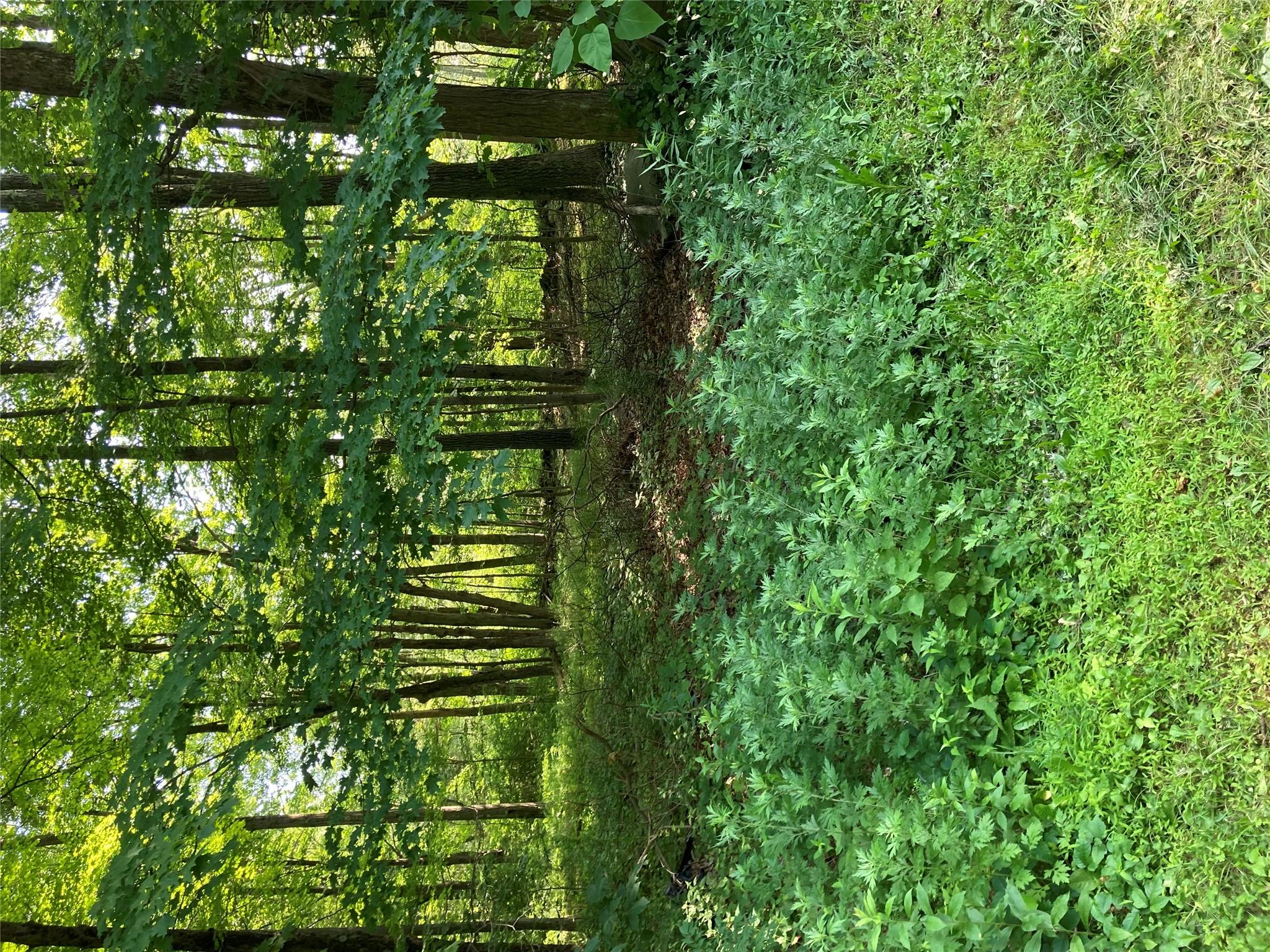 #3 photo, 15a Adam Wagner Lane, Mahopac , NY 10541