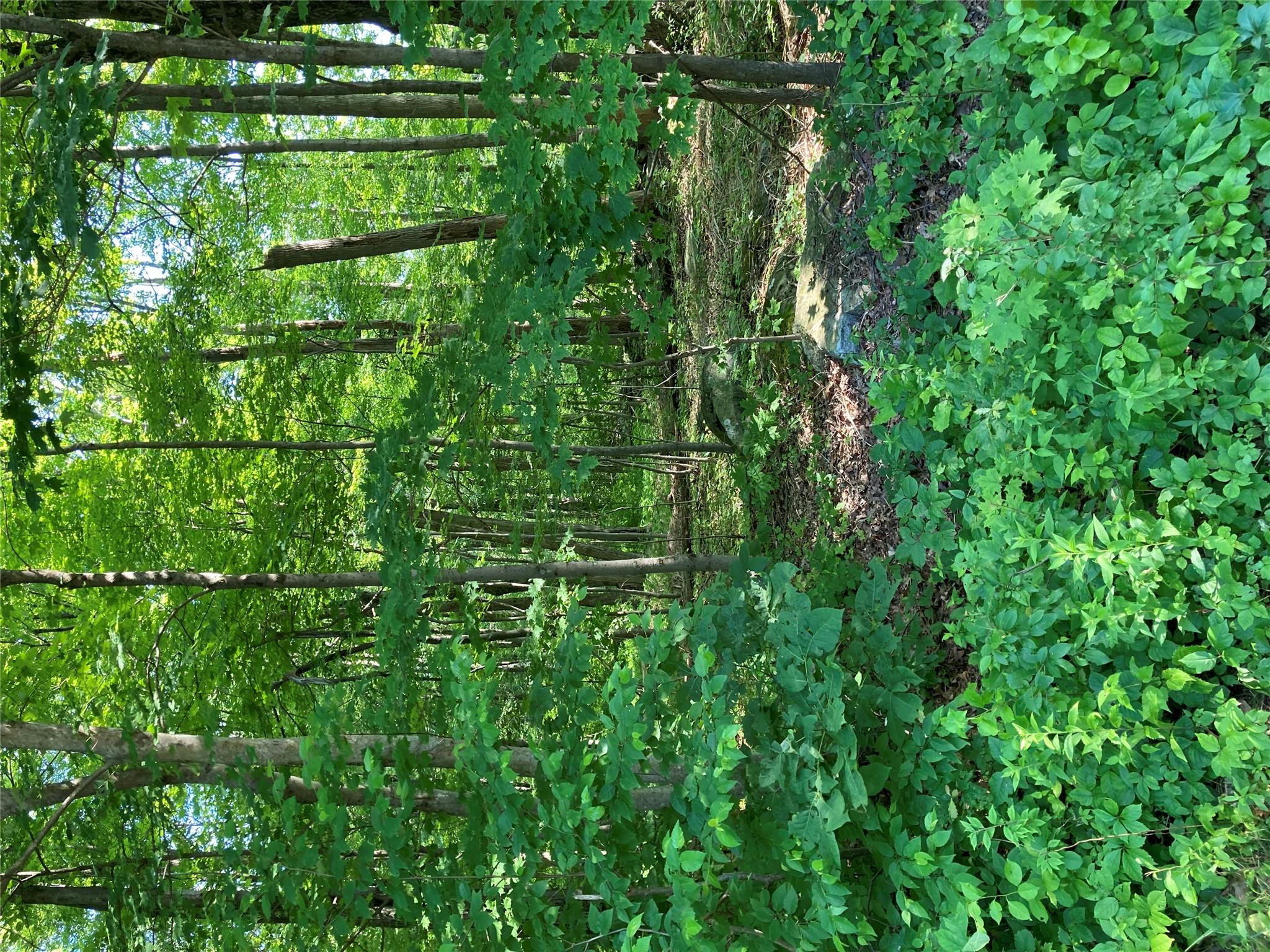 #4 photo, 15a Adam Wagner Lane, Mahopac , NY 10541