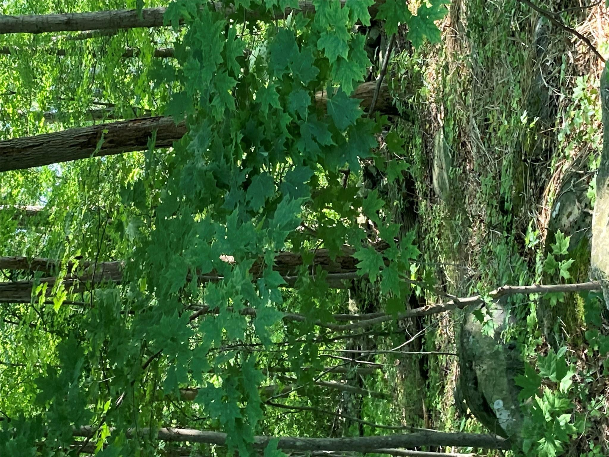 #5 photo, 15a Adam Wagner Lane, Mahopac , NY 10541