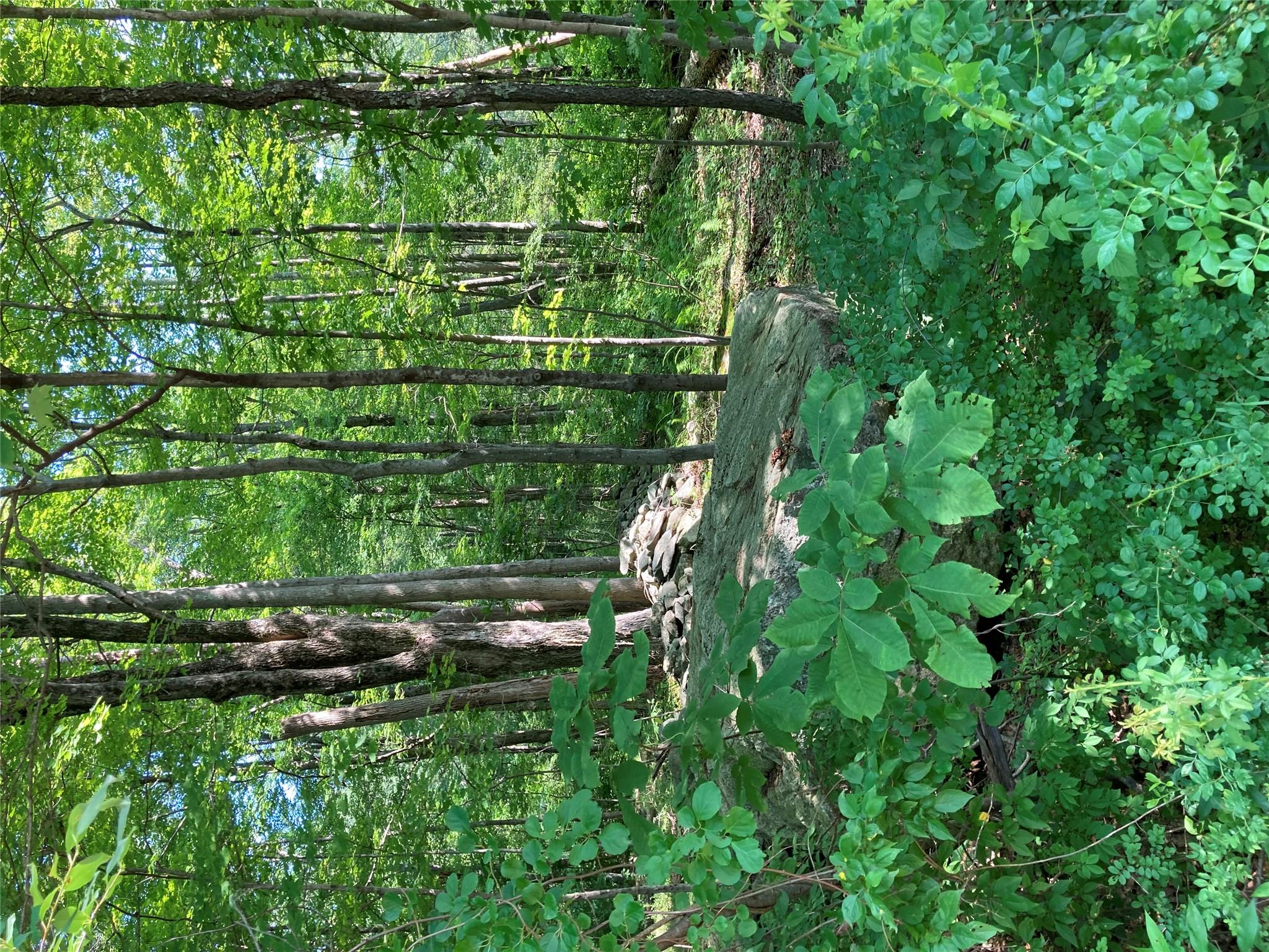 #6 photo, 15a Adam Wagner Lane, Mahopac , NY 10541