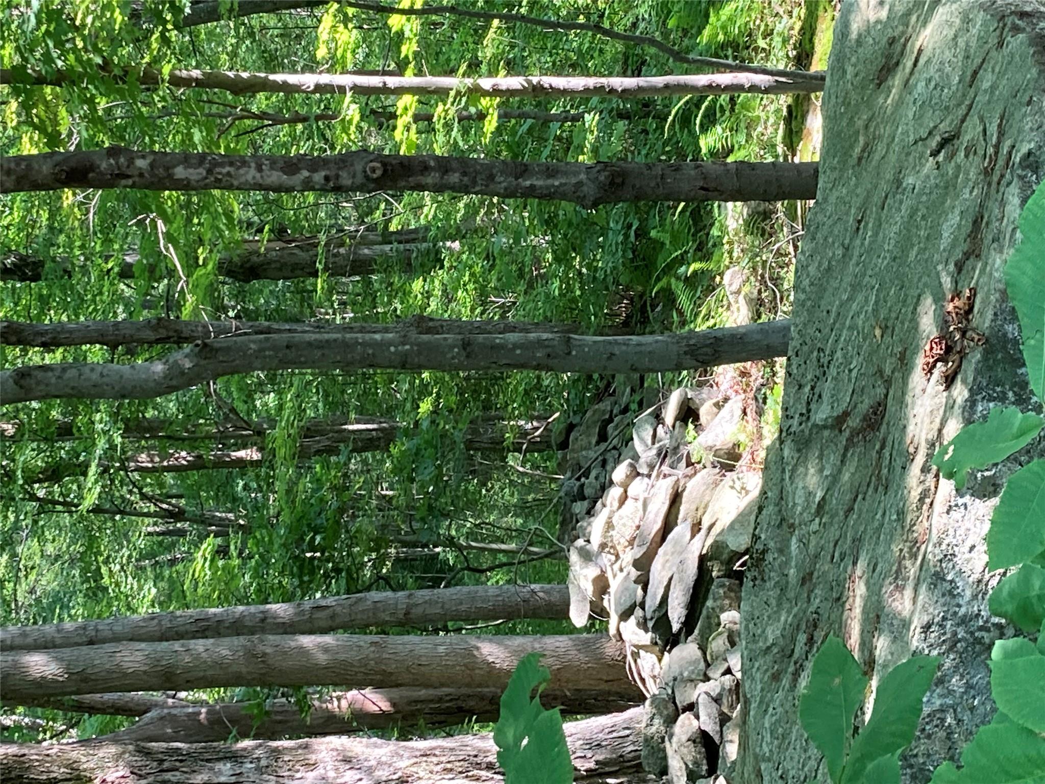 #7 photo, 15a Adam Wagner Lane, Mahopac , NY 10541