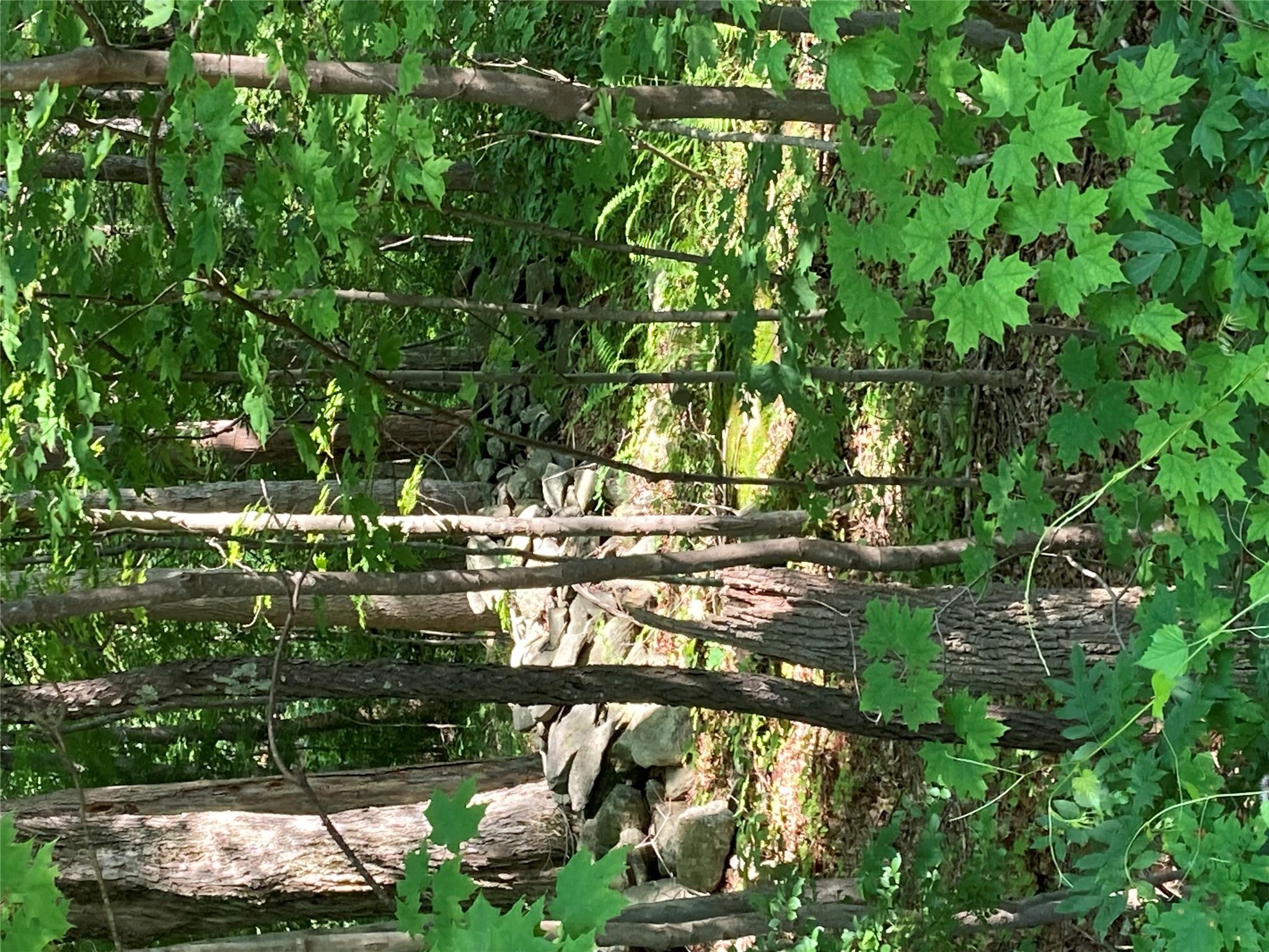 #8 photo, 15a Adam Wagner Lane, Mahopac , NY 10541