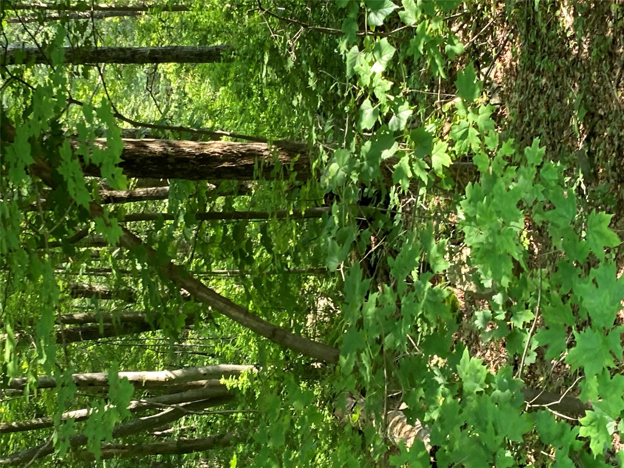 #9 photo, 15a Adam Wagner Lane, Mahopac , NY 10541