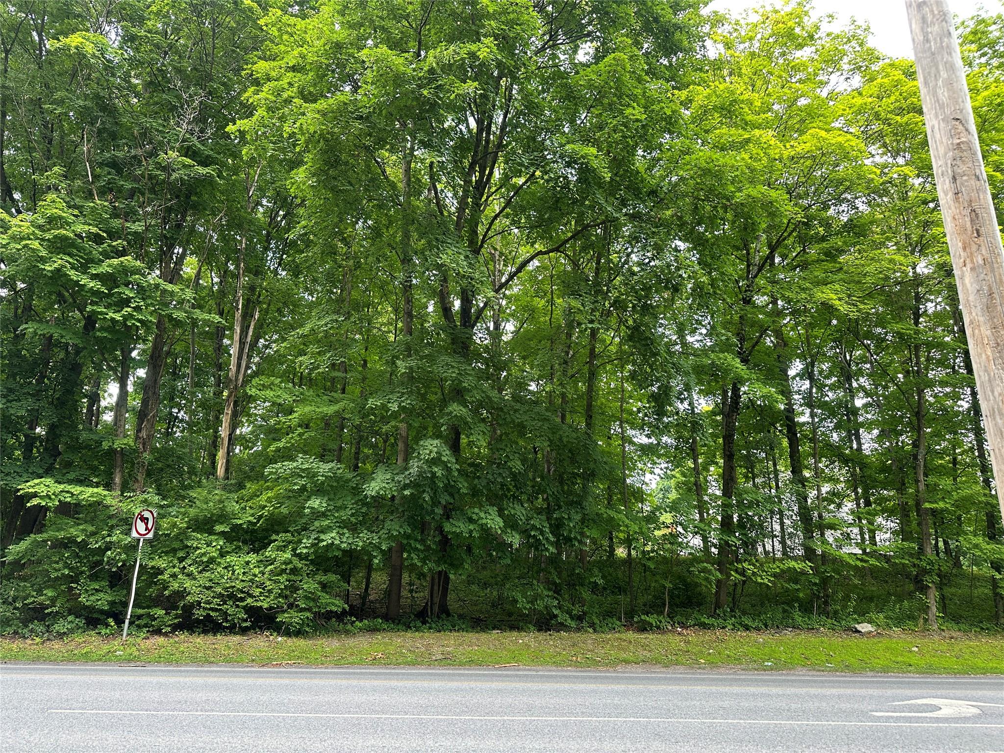 #1 photo, Lot 712 Creek Road, 紐約州 Poughkeepsie , NY 12601
