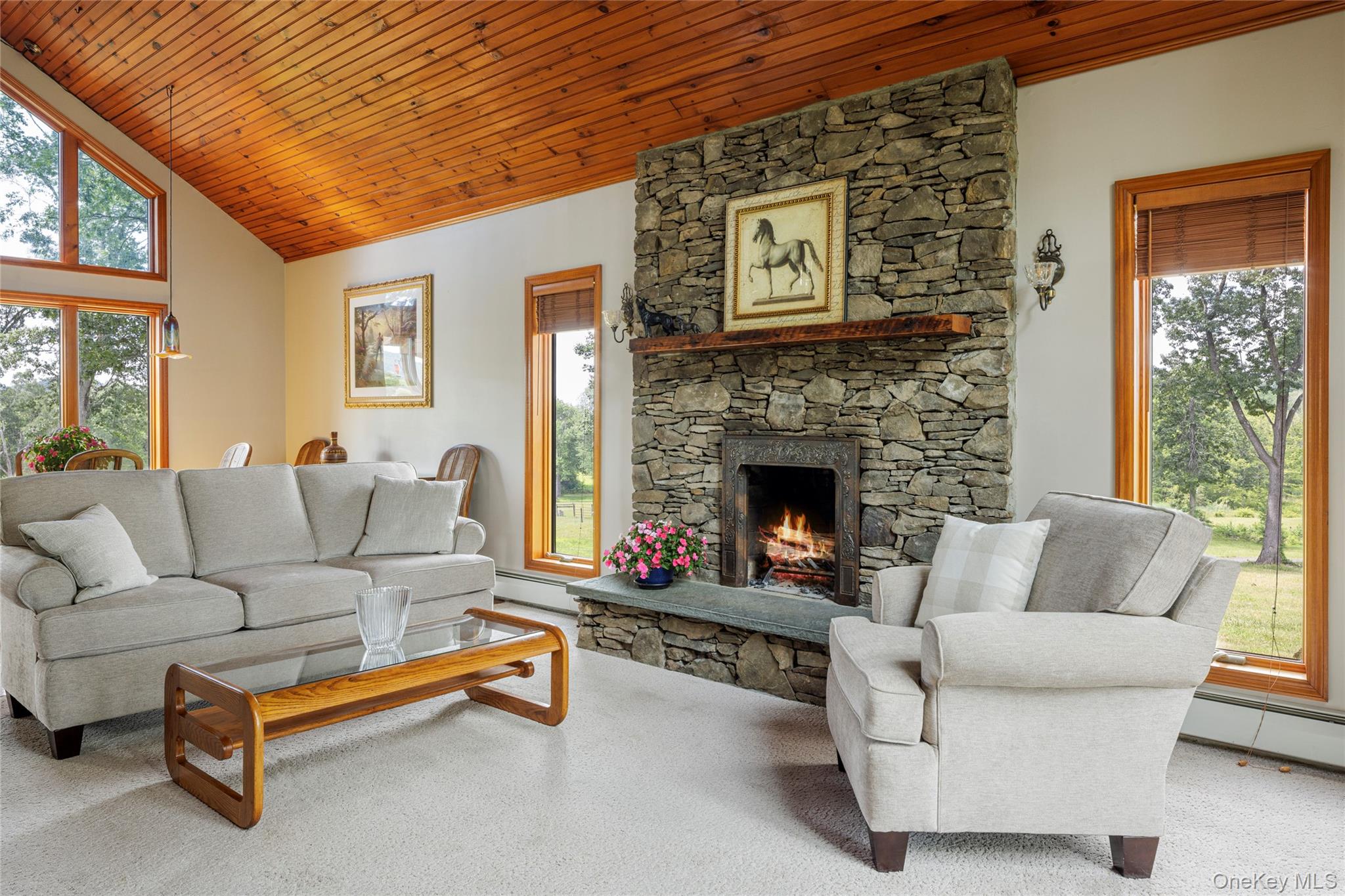 #8 photo, 48 County Route 14, Hudson , NY 12534