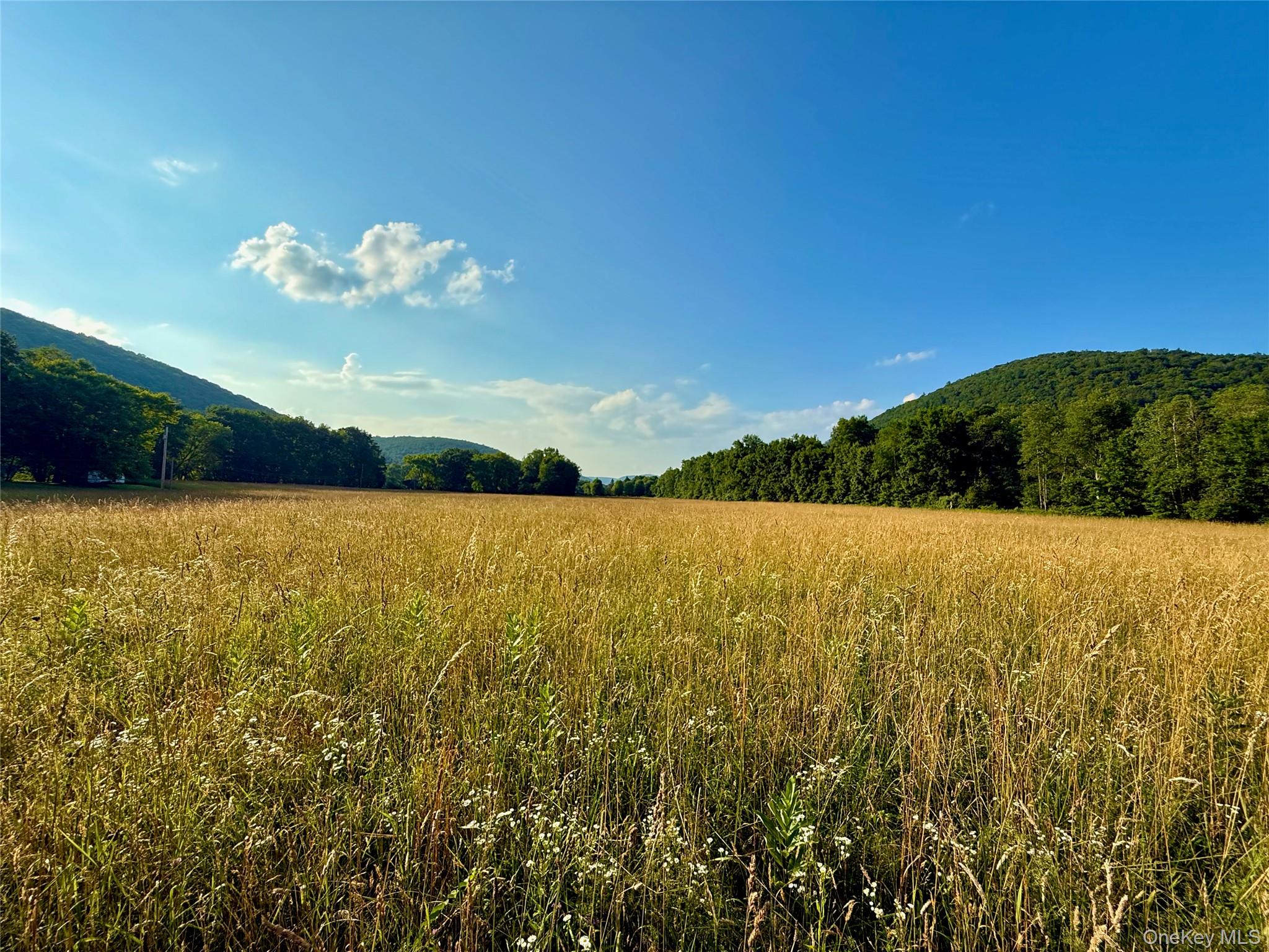 #3 photo, 222 Stockport Road, Hancock , NY 13783