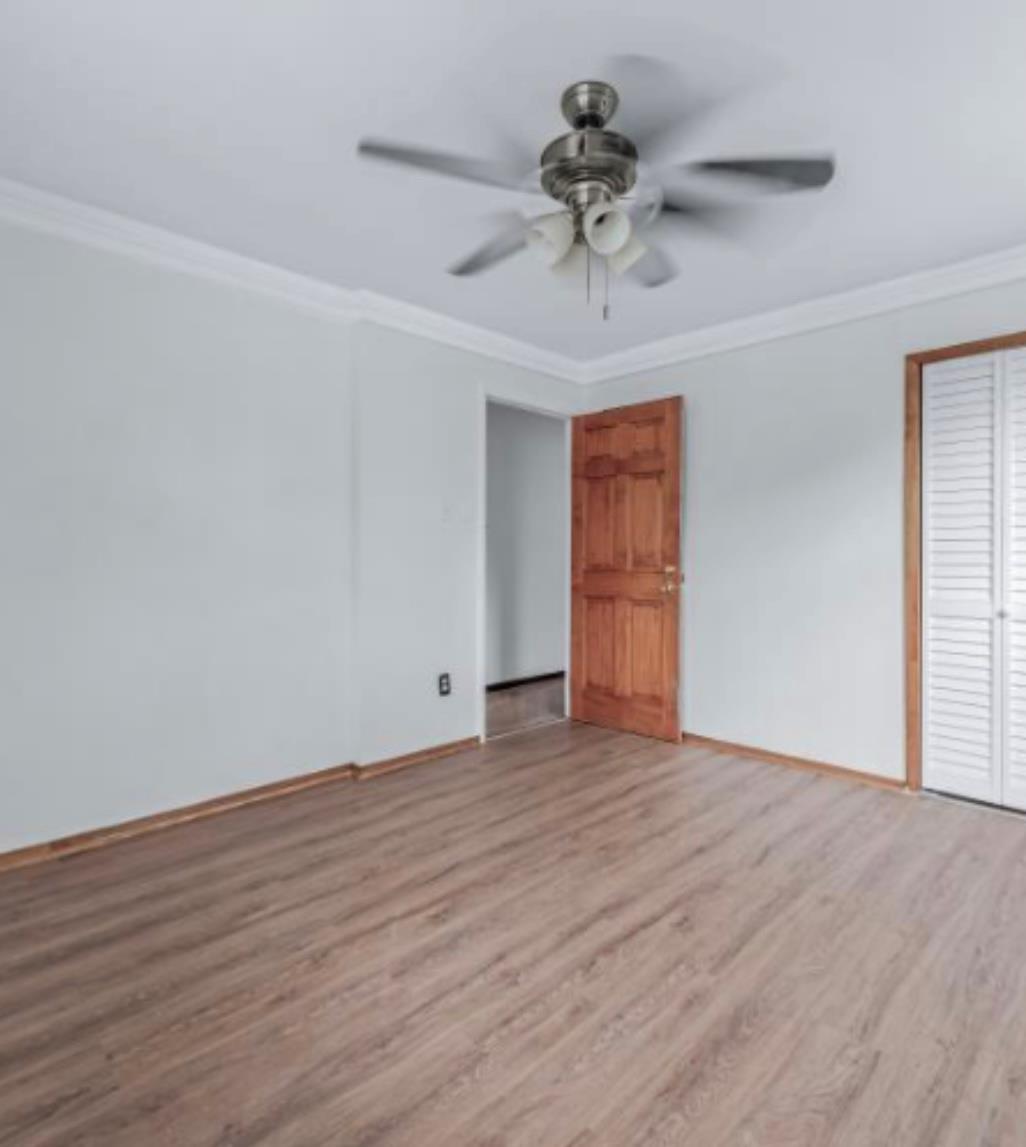 #12 photo, 1087 Blake Avenue, Brooklyn , NY 11208