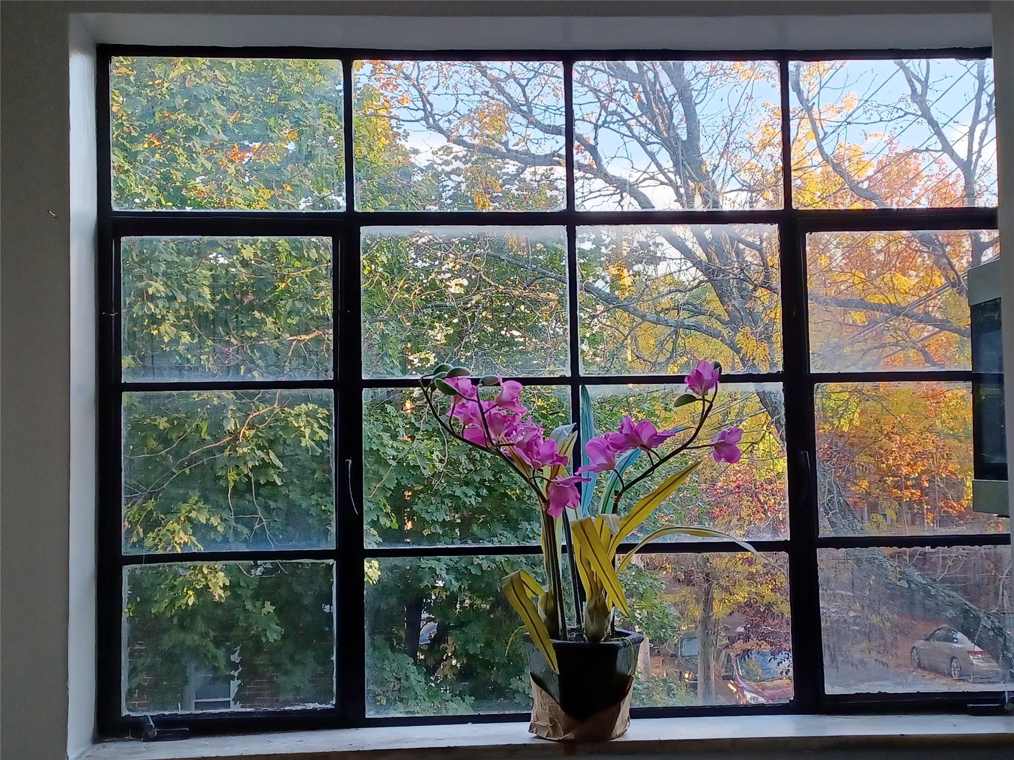 #13 photo, 1774 Pitman Avenue, ブロンクス区 Bronx , NY 10466