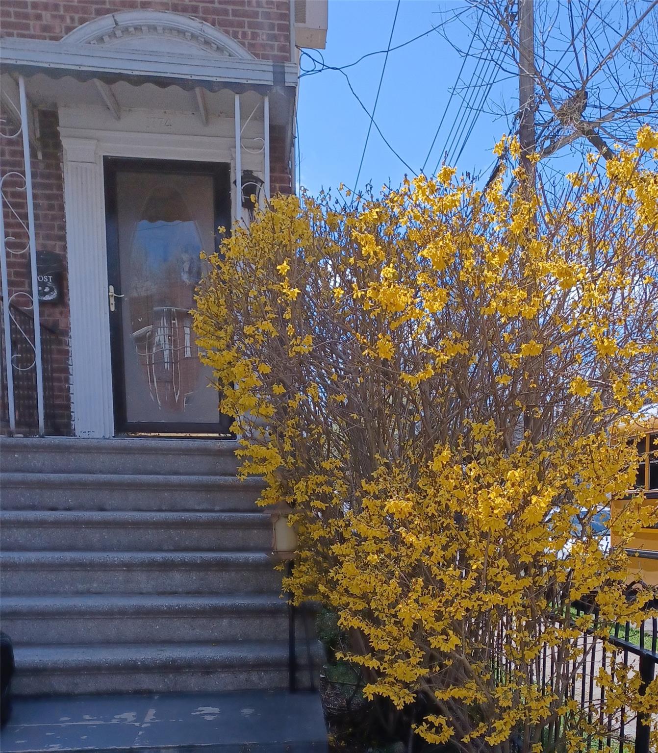 #4 photo, 1774 Pitman Avenue, ブロンクス区 Bronx , NY 10466