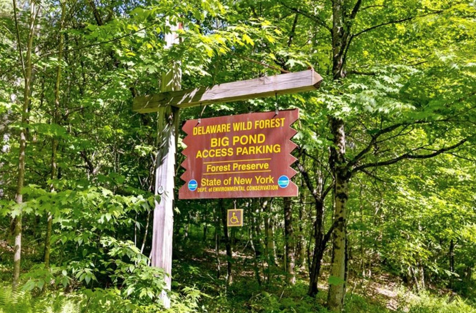 #20 photo, 2018 Beaverkill Road, Livingston Manor , NY 12758