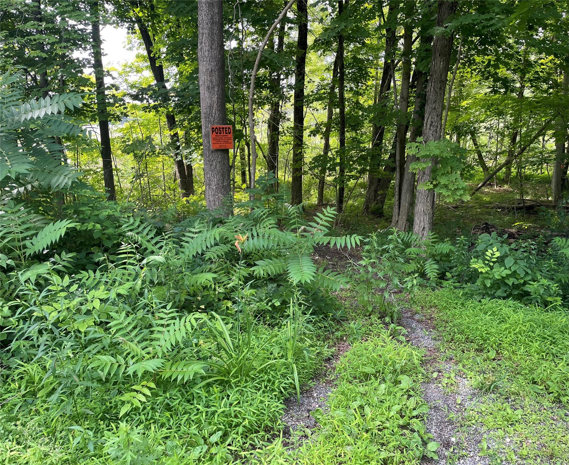 #1 photo, Fiddler's Bridge/Schoolhouse Rd, Clinton Corners , NY 